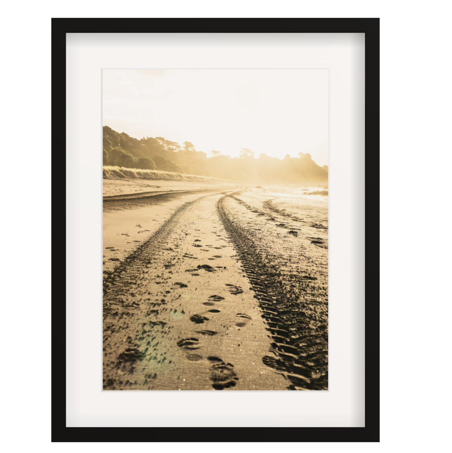 Tracks in the Sand