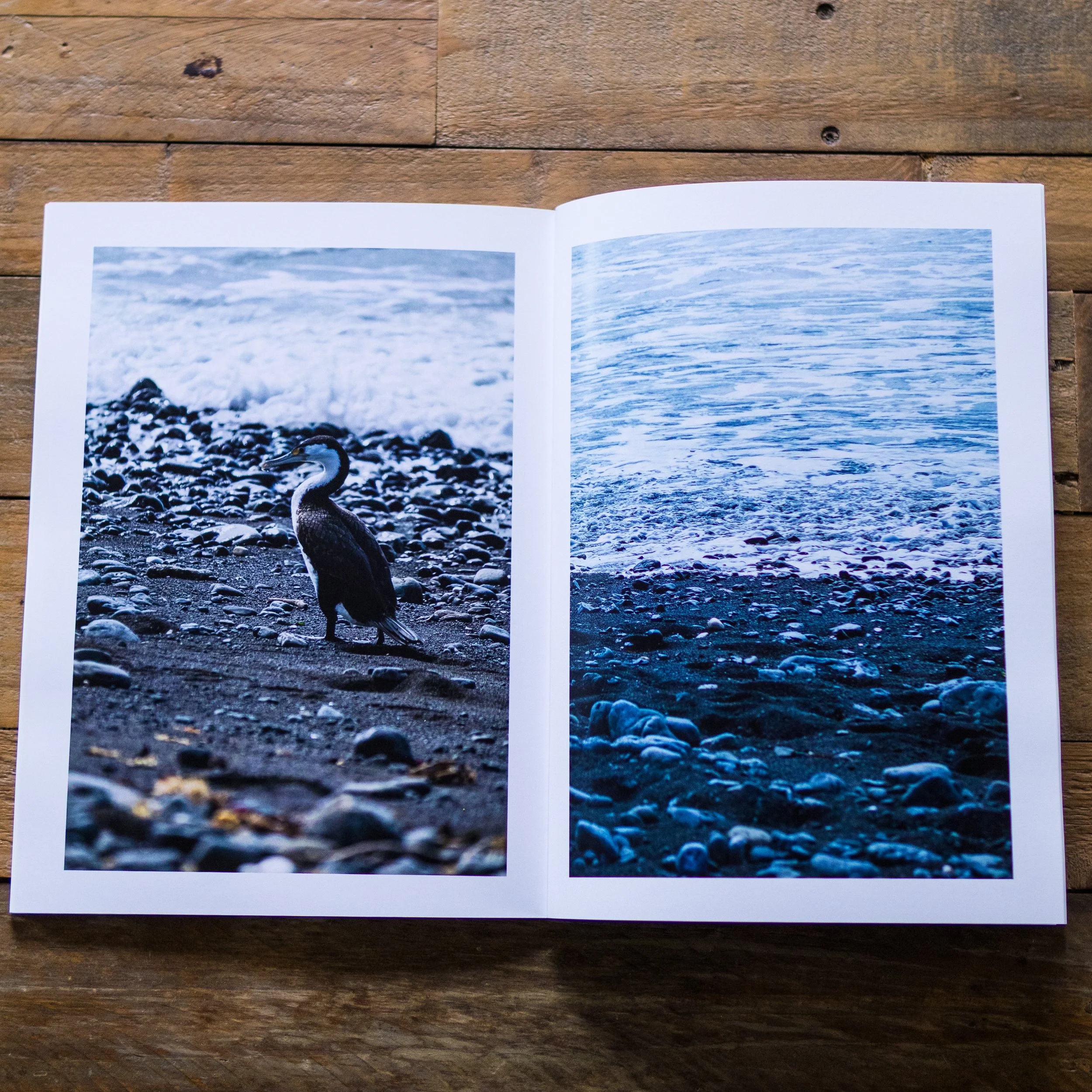 book photos-7.jpg