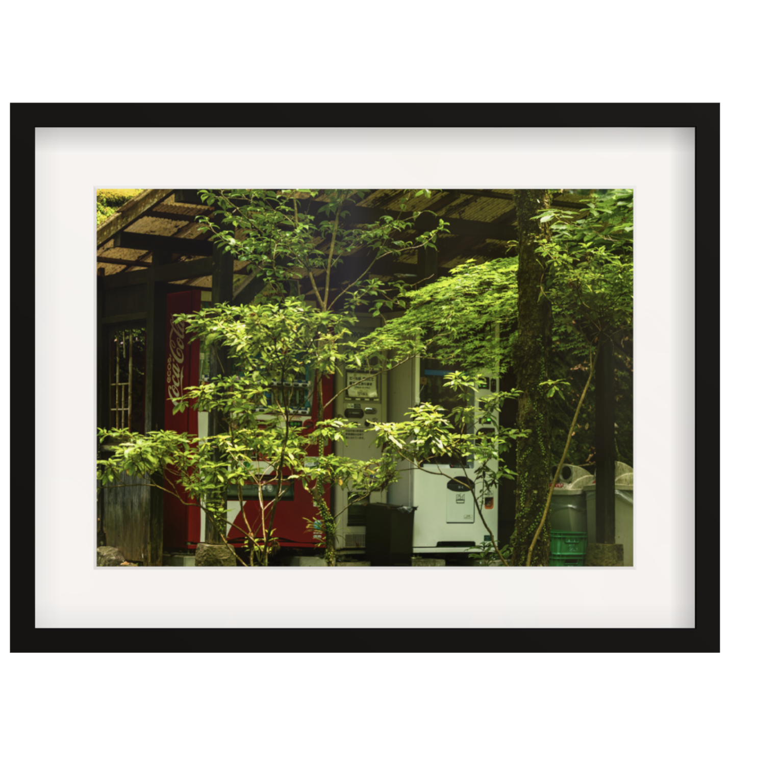 Vending Machine in the Forest
