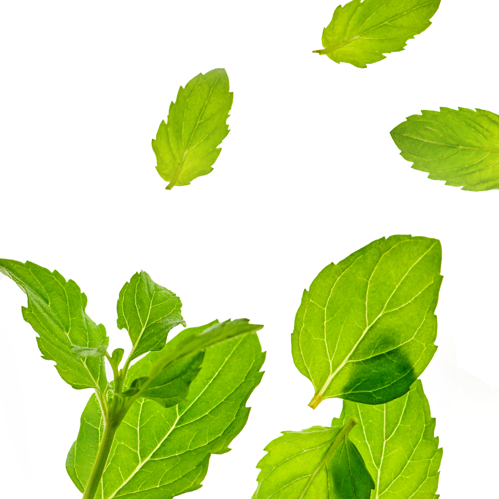 Menthol.png