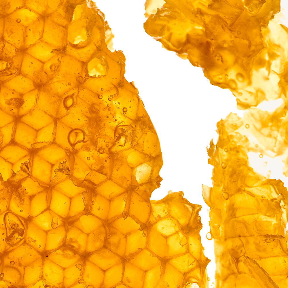Wildflower Honey.png