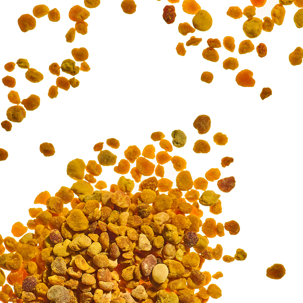 Bee Pollen.png