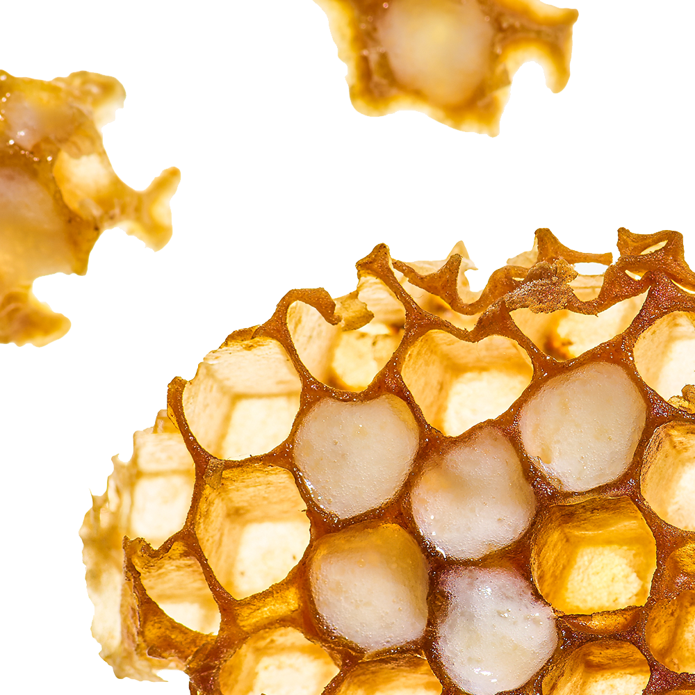 Royal Jelly.png