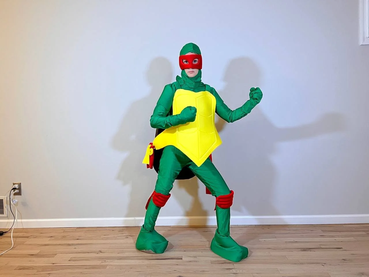 Ninja Turtles kids toddlers birthday party characters new york