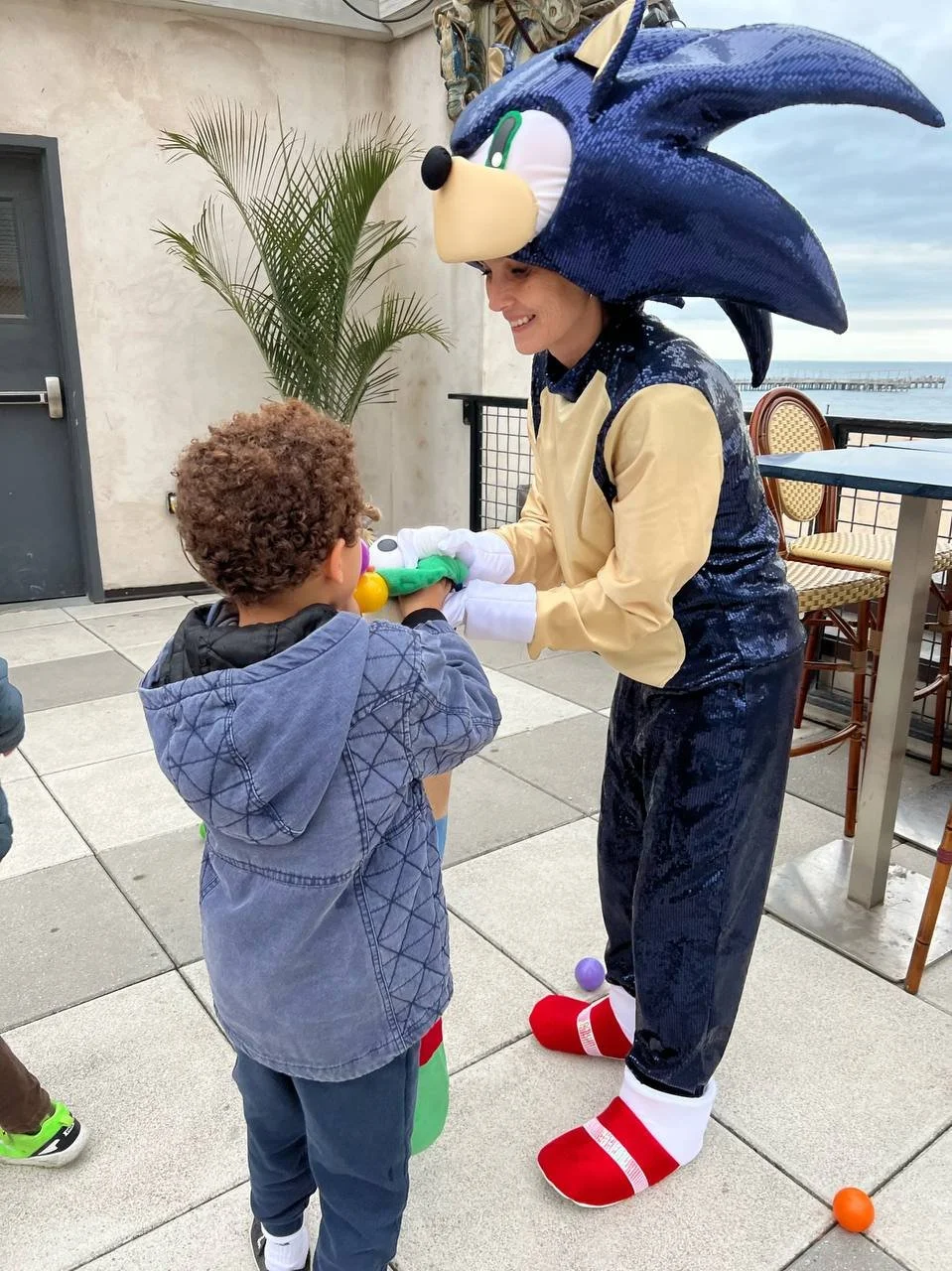 Sonic kids toddlers birthday party characters new york