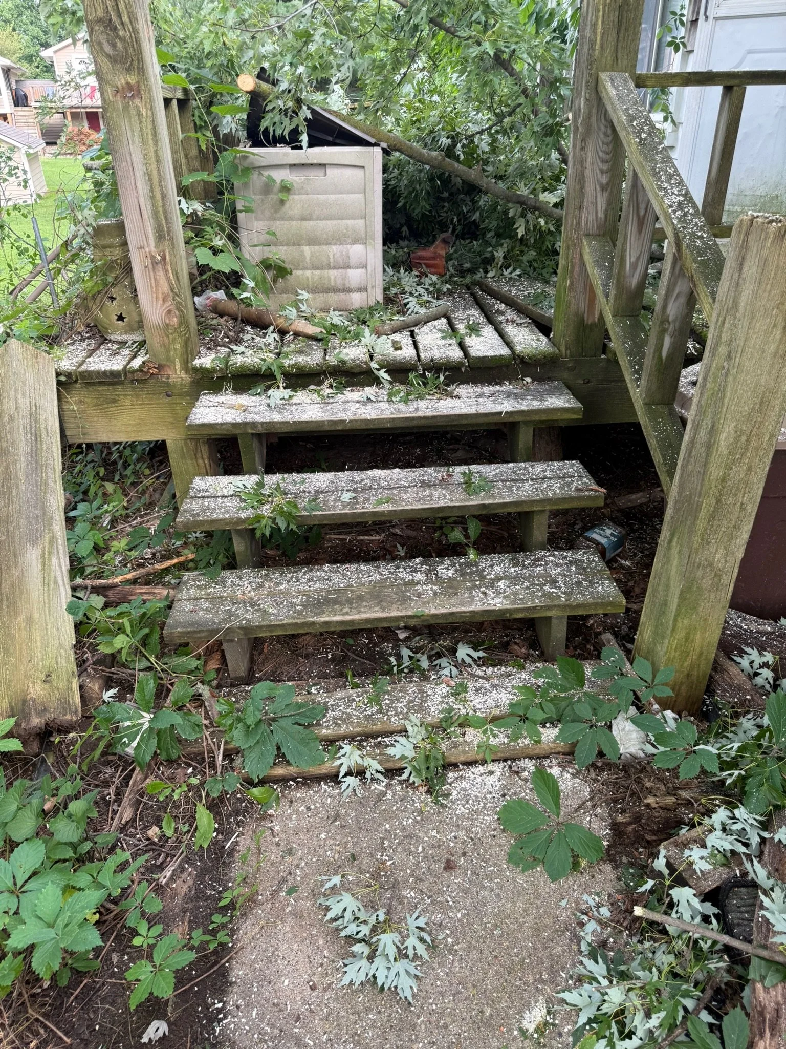 A small wooden outdoor staircase covered in dust and dirt, surrounded by overgrown weeds and plants, with trees and houses in the background.