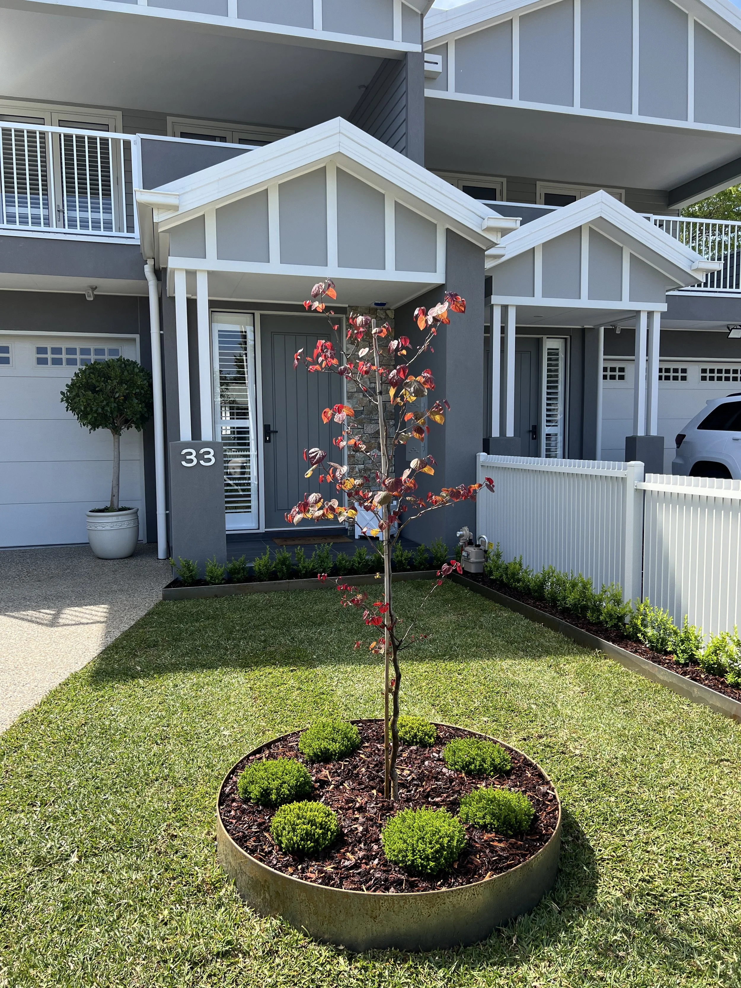 Front yard of a modern house with grey exterior and white trim, a small tree with red leaves in a circular planter, and a manicured lawn.