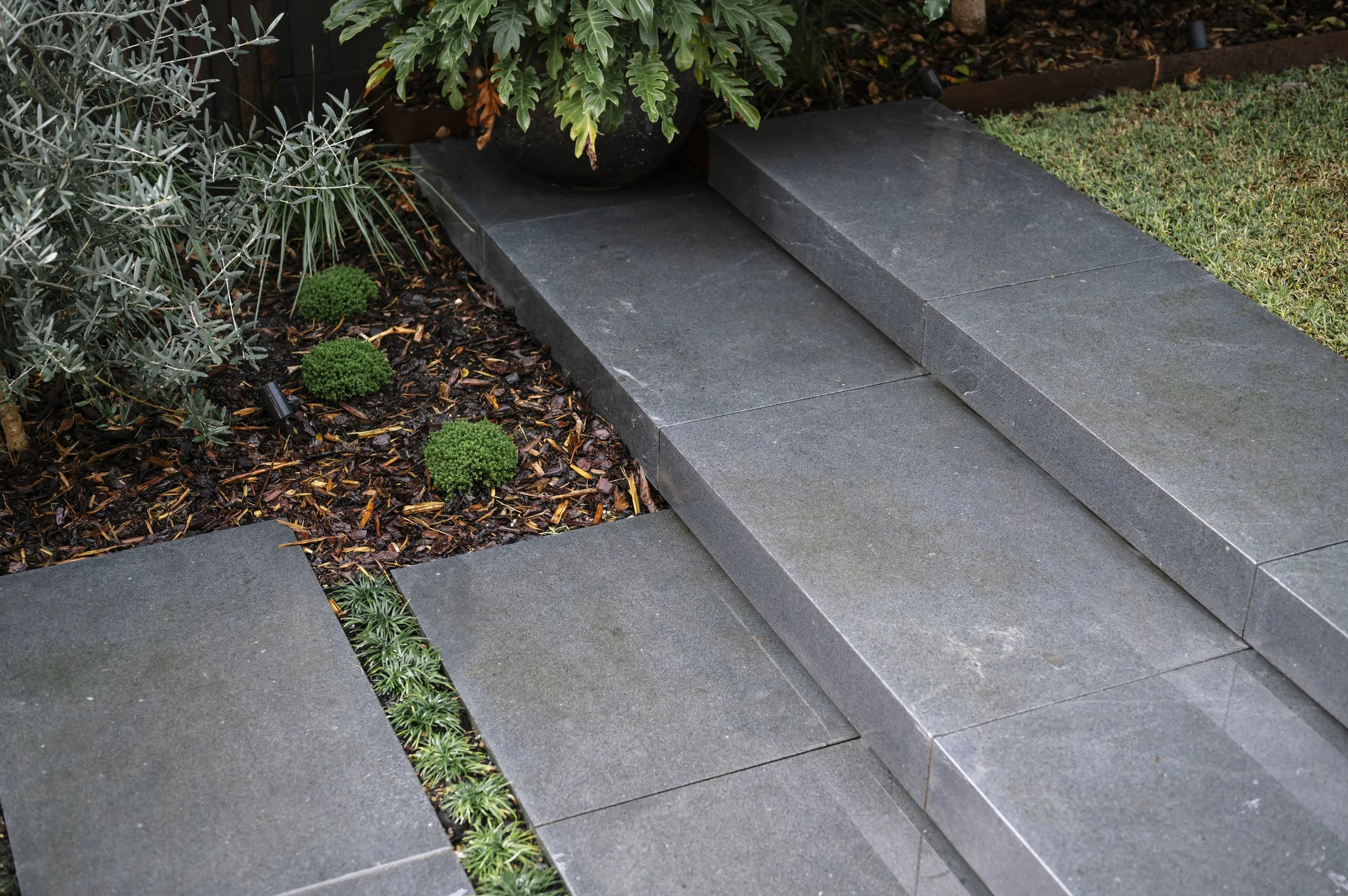 A garden pathway with gray stone stairs and surrounding plants, including bushes and small green shrubs, with mulch and a garden bed in the background.