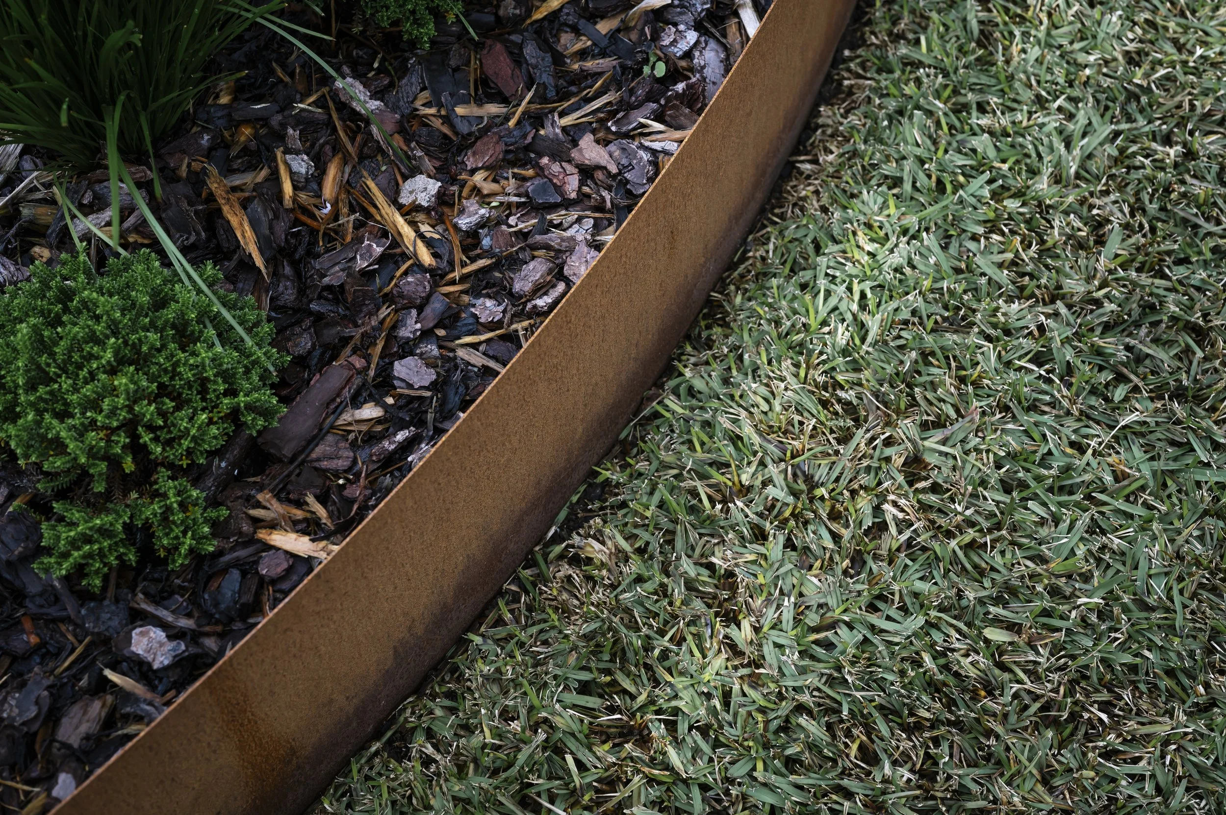 Close-up of decorative garden bed with small green bushes, dark bark mulch, and green grass, separated by a rust-colored metal border.
