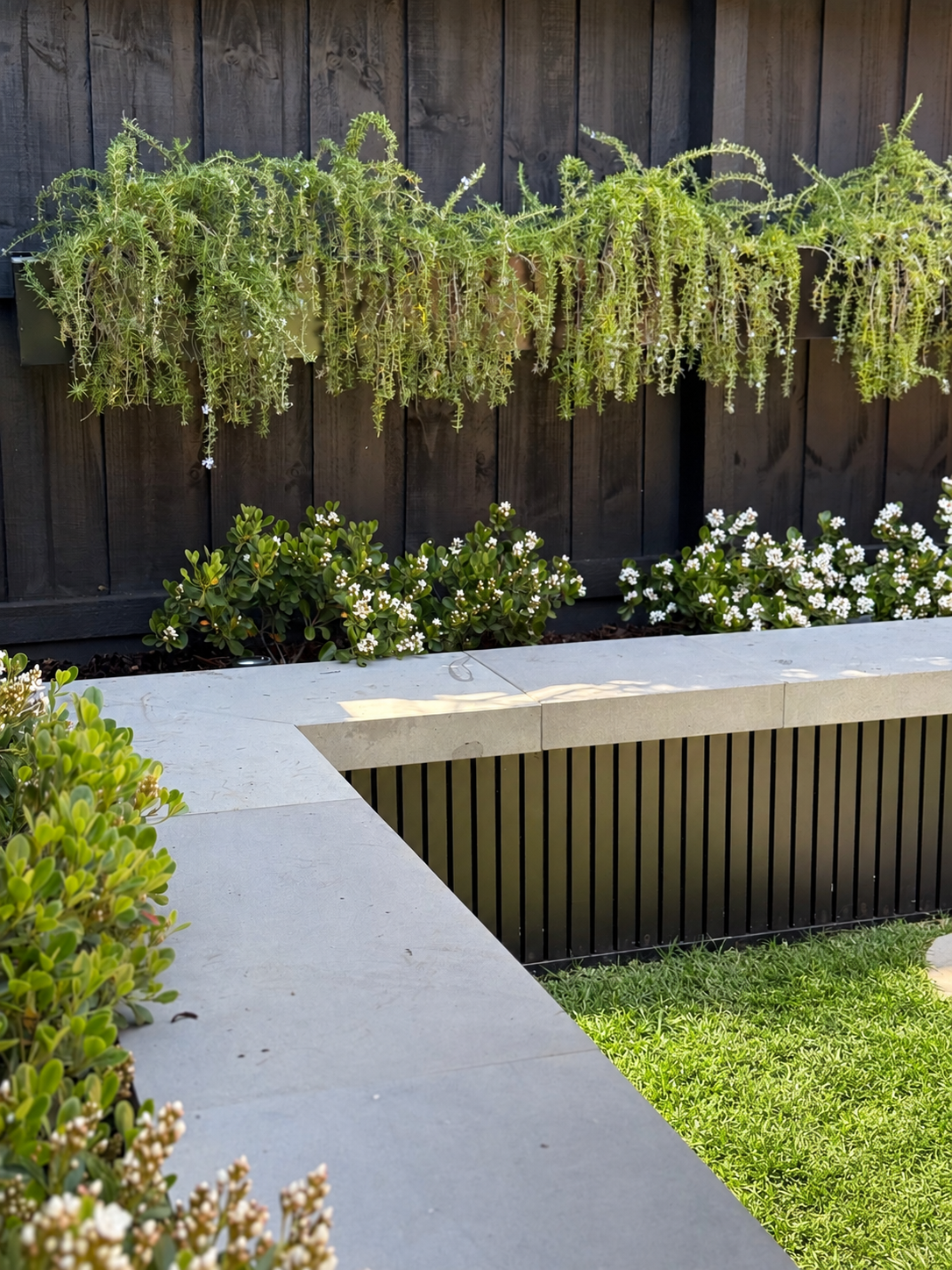 A modern backyard with a black wooden fence, green plants, white flowers, and a concrete bench surrounding a small lawn.