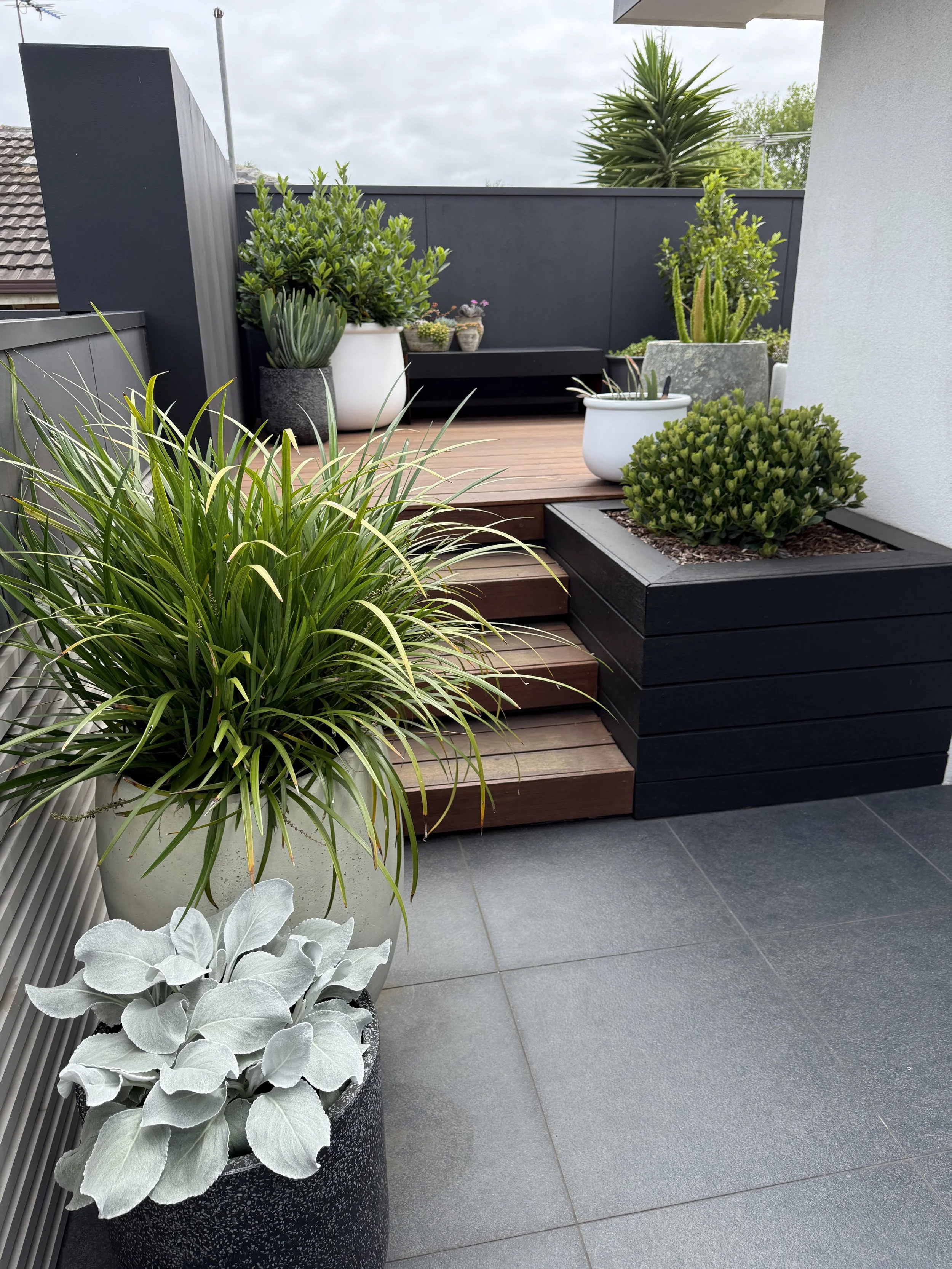 View of a modern outdoor patio with potted plants including succulents, greenery, and decorative foliage, along with wooden and black painted elements.