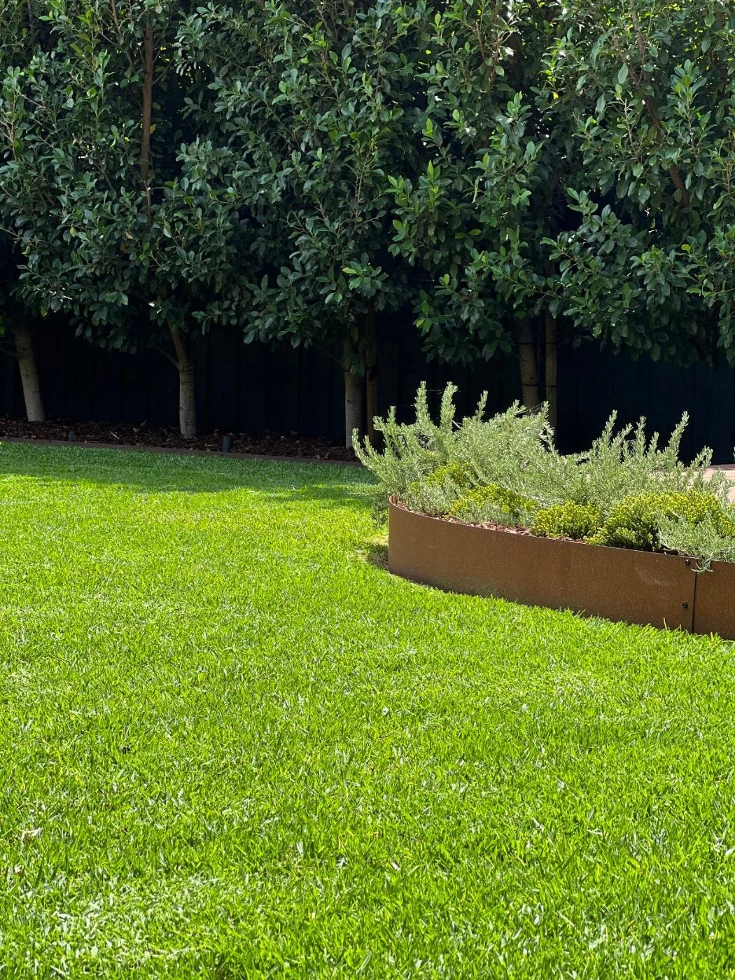 A well-maintained backyard with bright green grass, a circular planter with plants, a black fence, and a row of trees with dense green leaves.