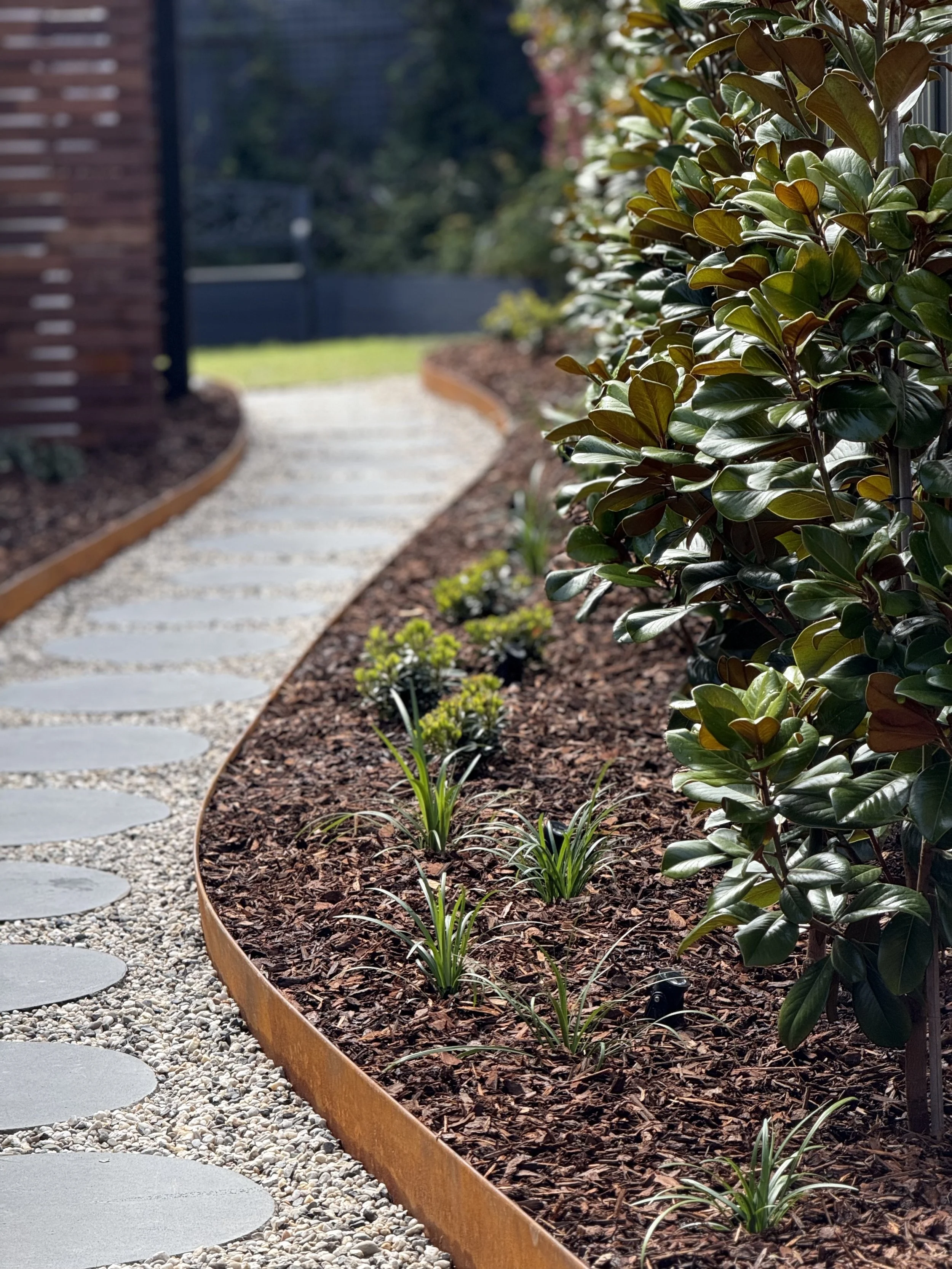 Close-up of a landscaped garden bed with green shrubs, young plants, and mulch, along a curved metal edge, beside a gravel pathway with stepping stones.