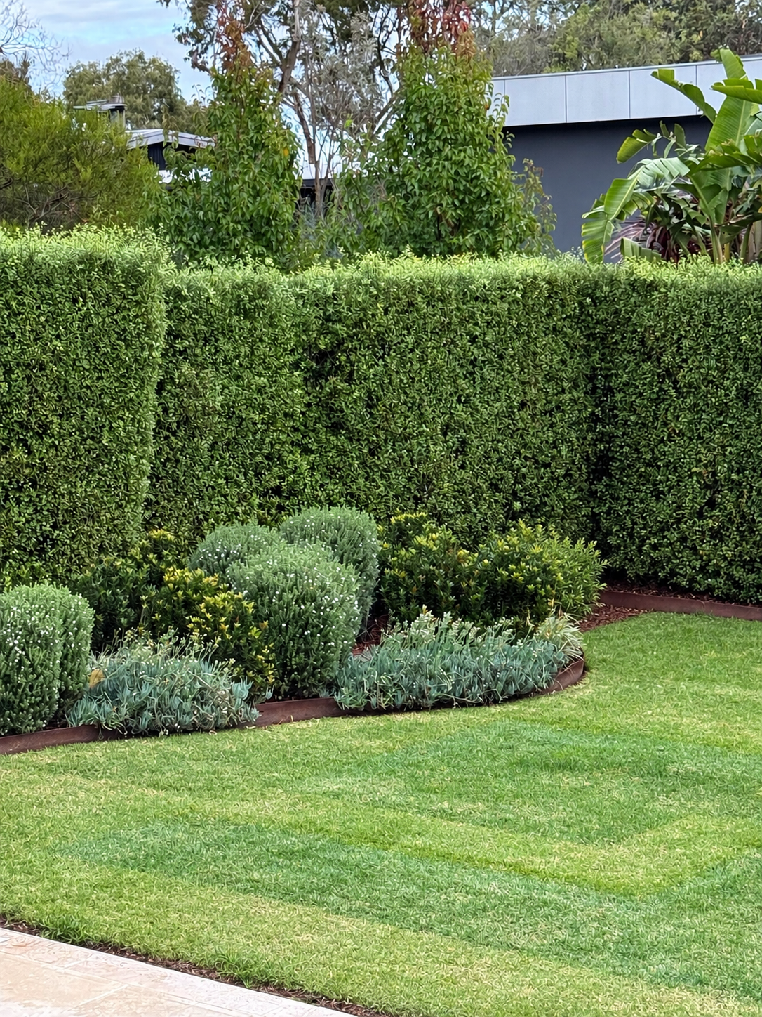 Well-maintained backyard with a lush green lawn, trimmed bushes, and various small shrubs behind a brick border.