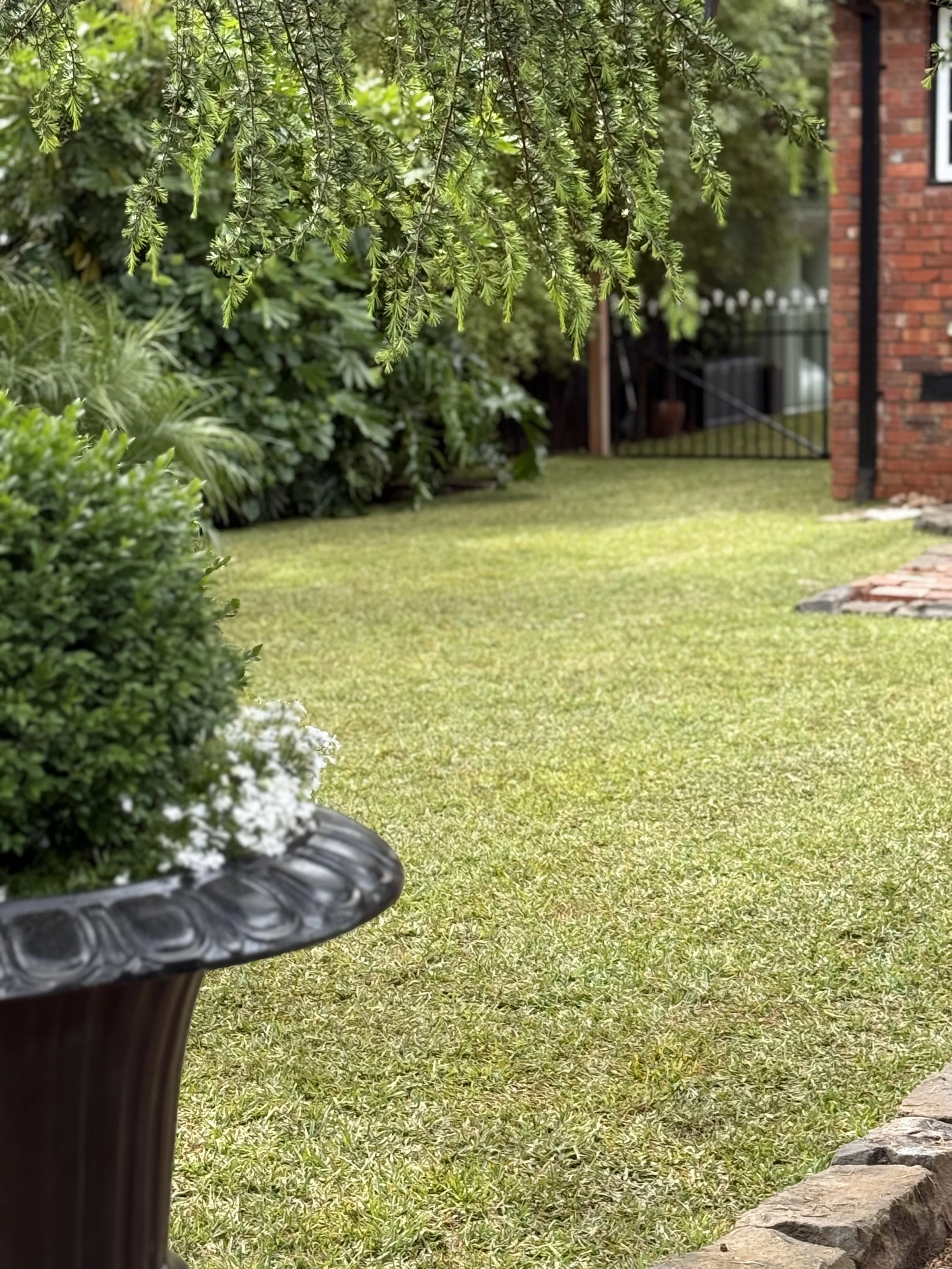 A garden scene with green foliage, a brick building in the background, a lawn, and a black metal bench in the foreground.
