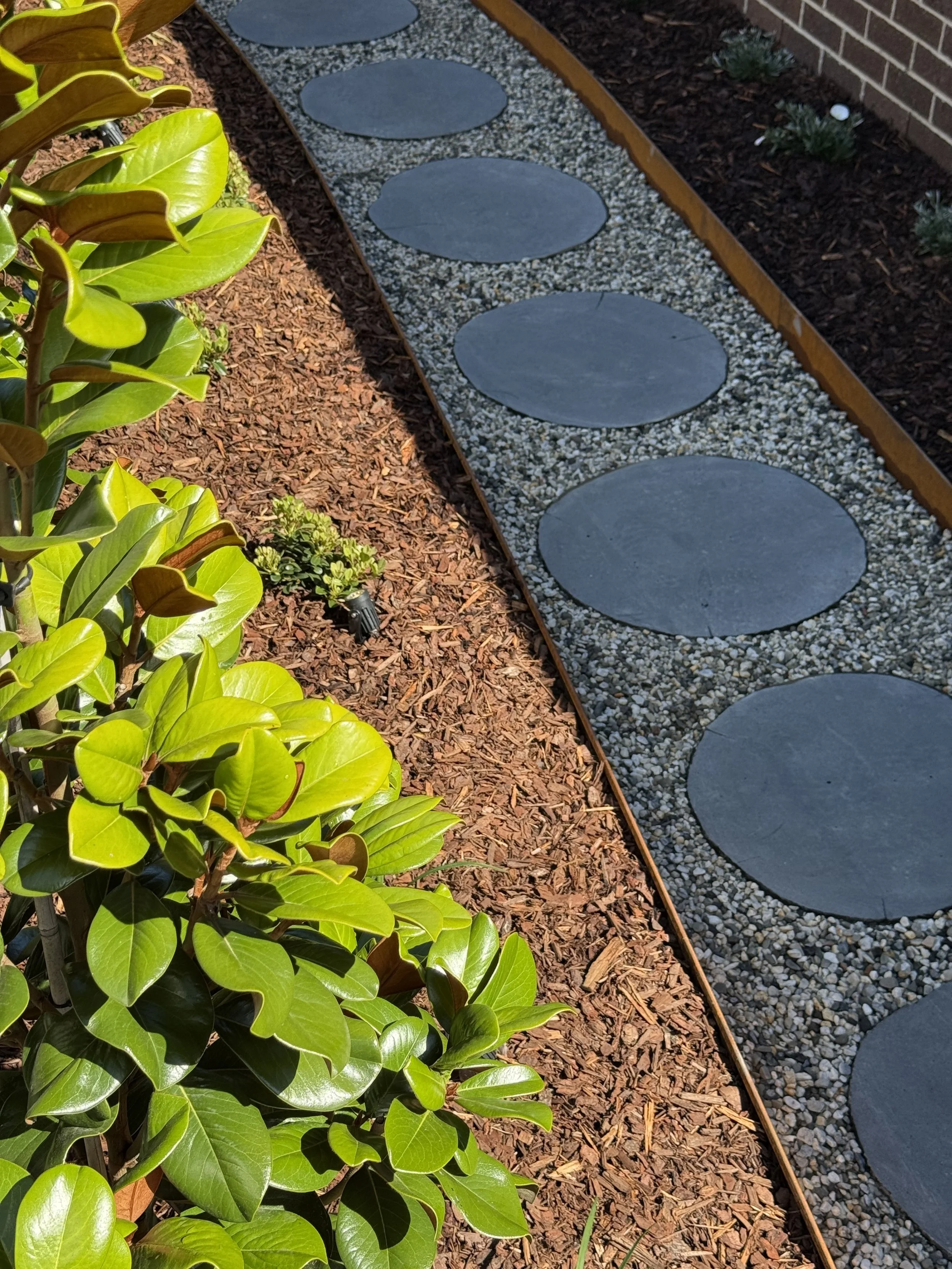 A garden pathway with large round stone stepping stones set in small gravel, bordered by brown mulch and green plants, with a brick wall in the background.