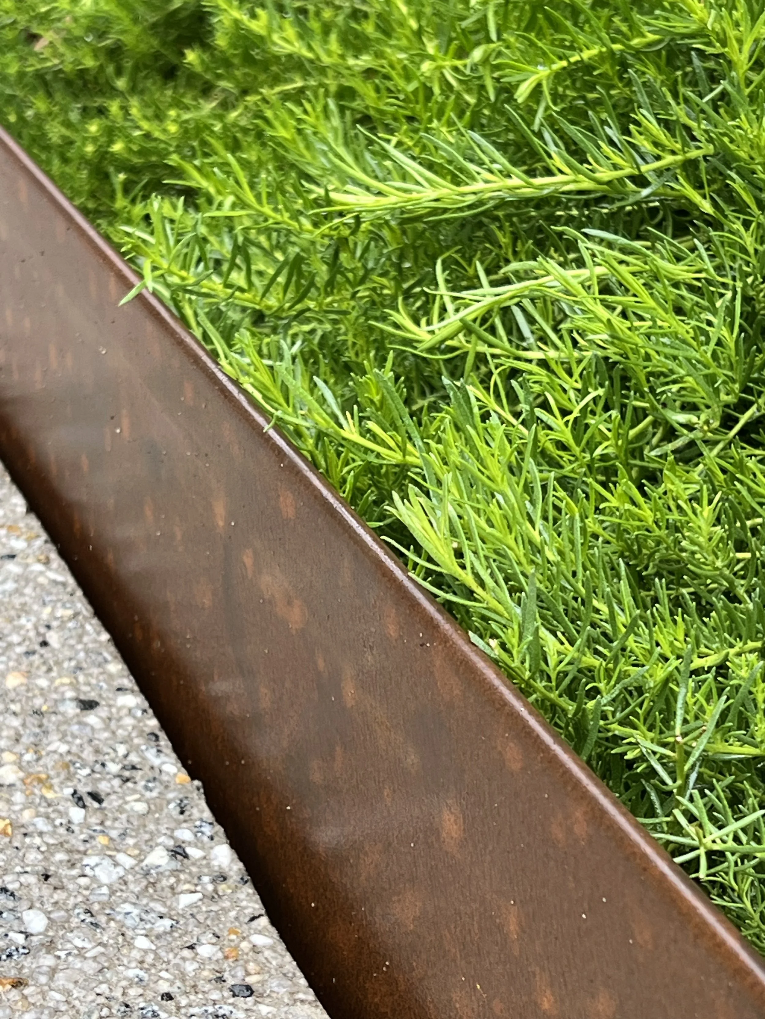 Close-up of green grass or plants growing next to a rusted metal surface, with small gravel ground in the background.