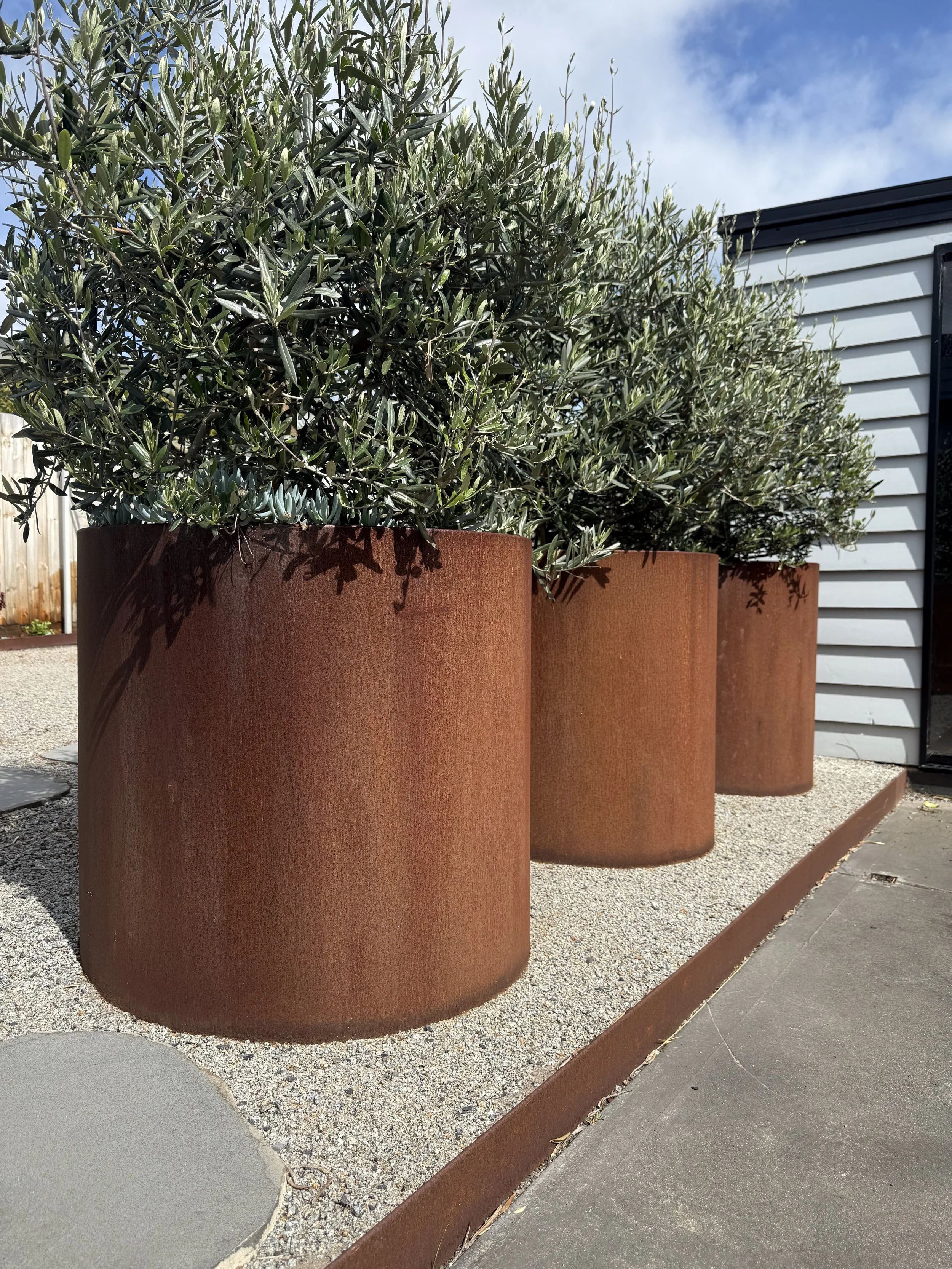 Three large rust-colored metal planters with green and silver leafy plants, positioned on a gravel surface next to a white building with black trim, under a partly cloudy sky.