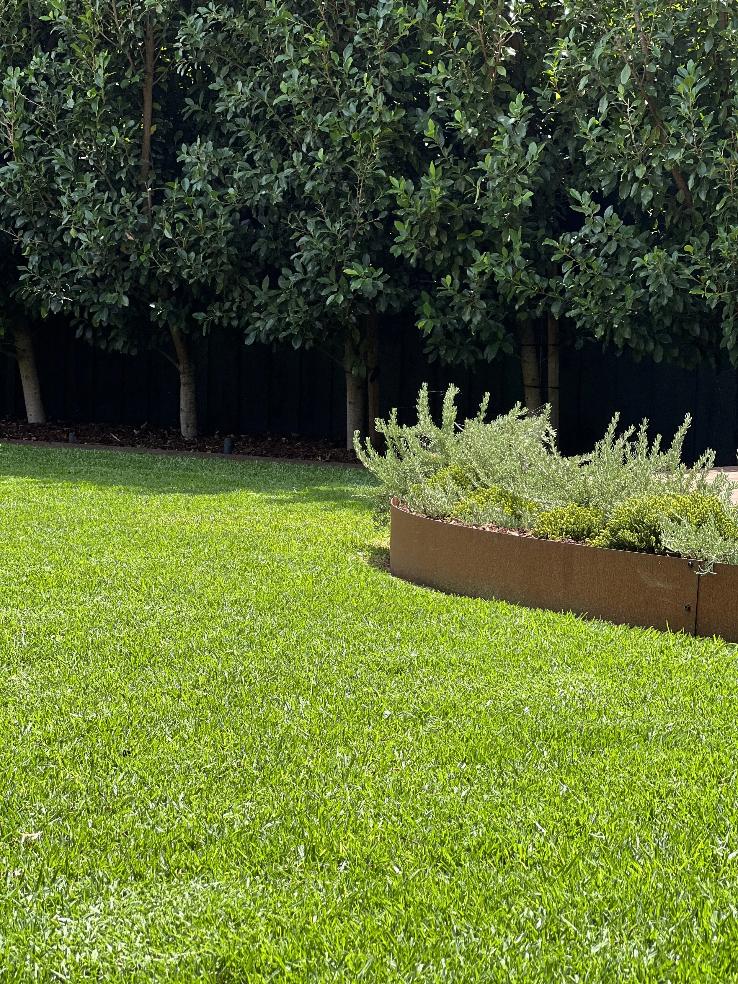 A well-maintained backyard with bright green grass, a circular planter with plants, a black fence, and a row of trees with dense green leaves.