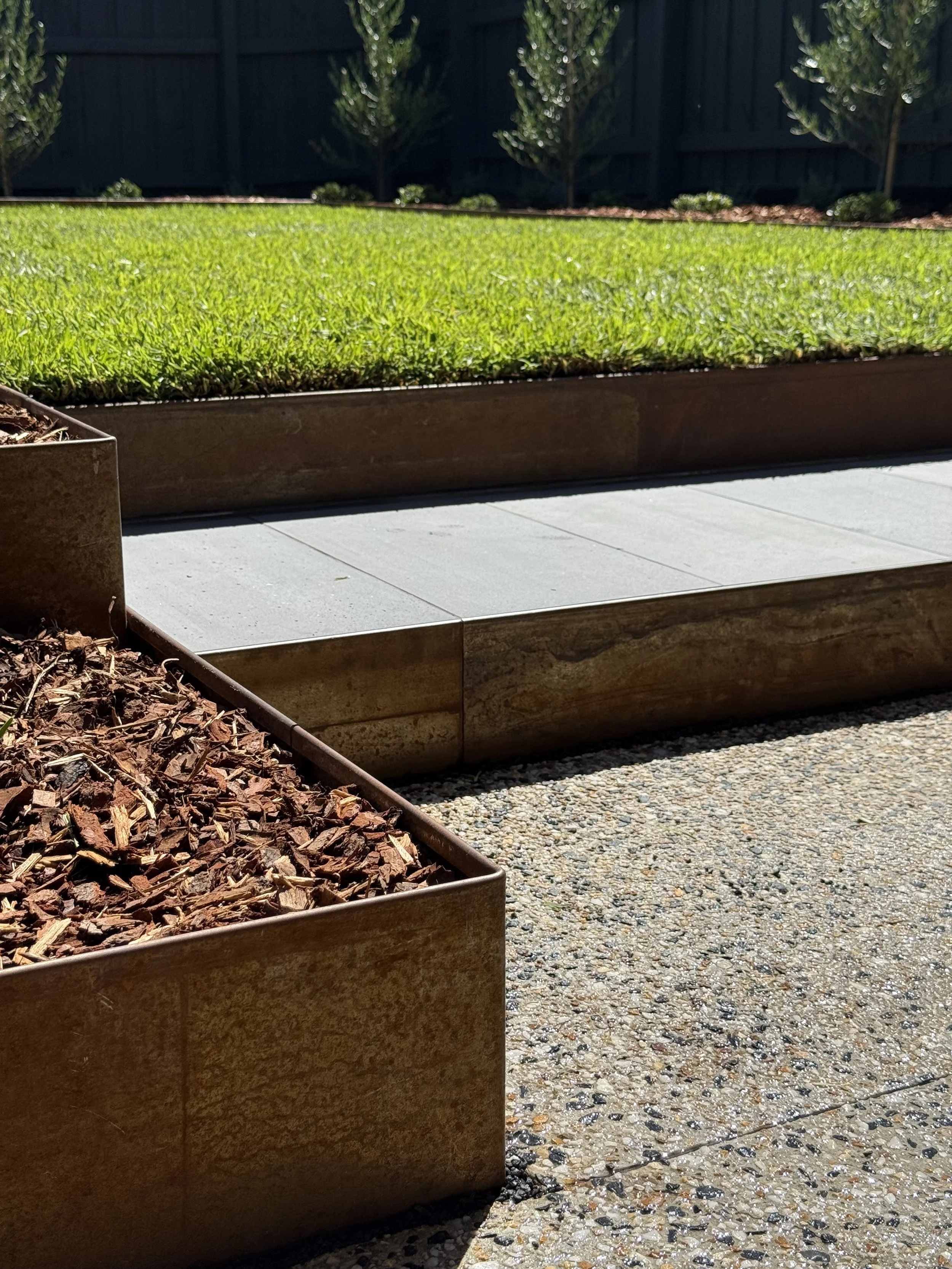 Raised garden bed with green grass, in a backyard setting with a black fence and trees in the background, sunlight casting shadows.