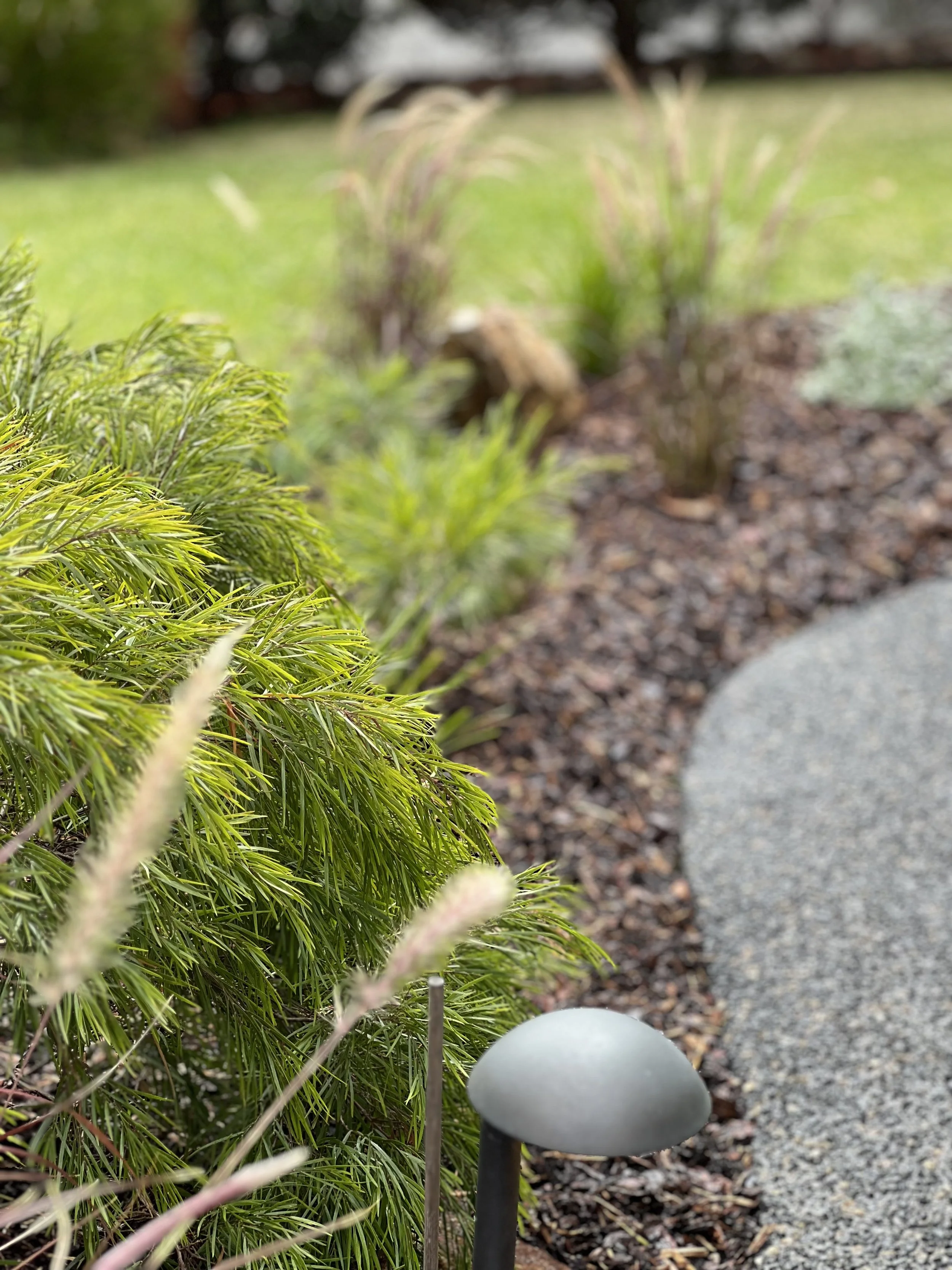 A garden scene with green shrubs, mulch, a sidewalk, and a white spherical garden light fixture.