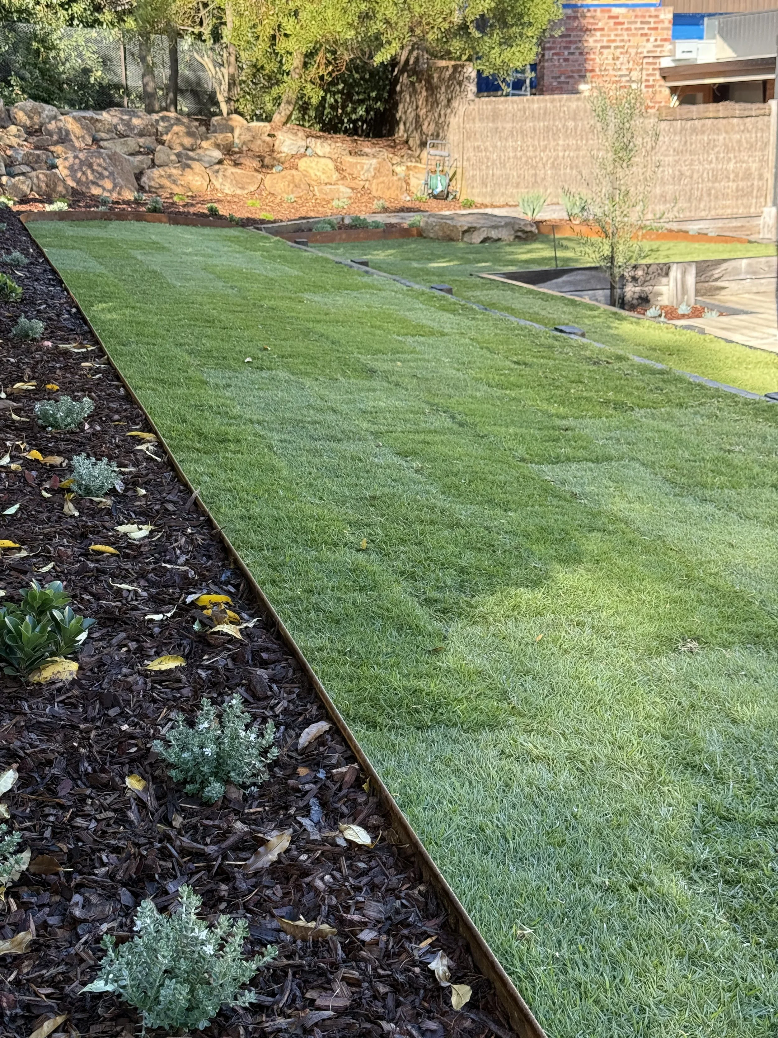 garden-makeover-new-sir-walter-lawns-mount-eliza.jpg