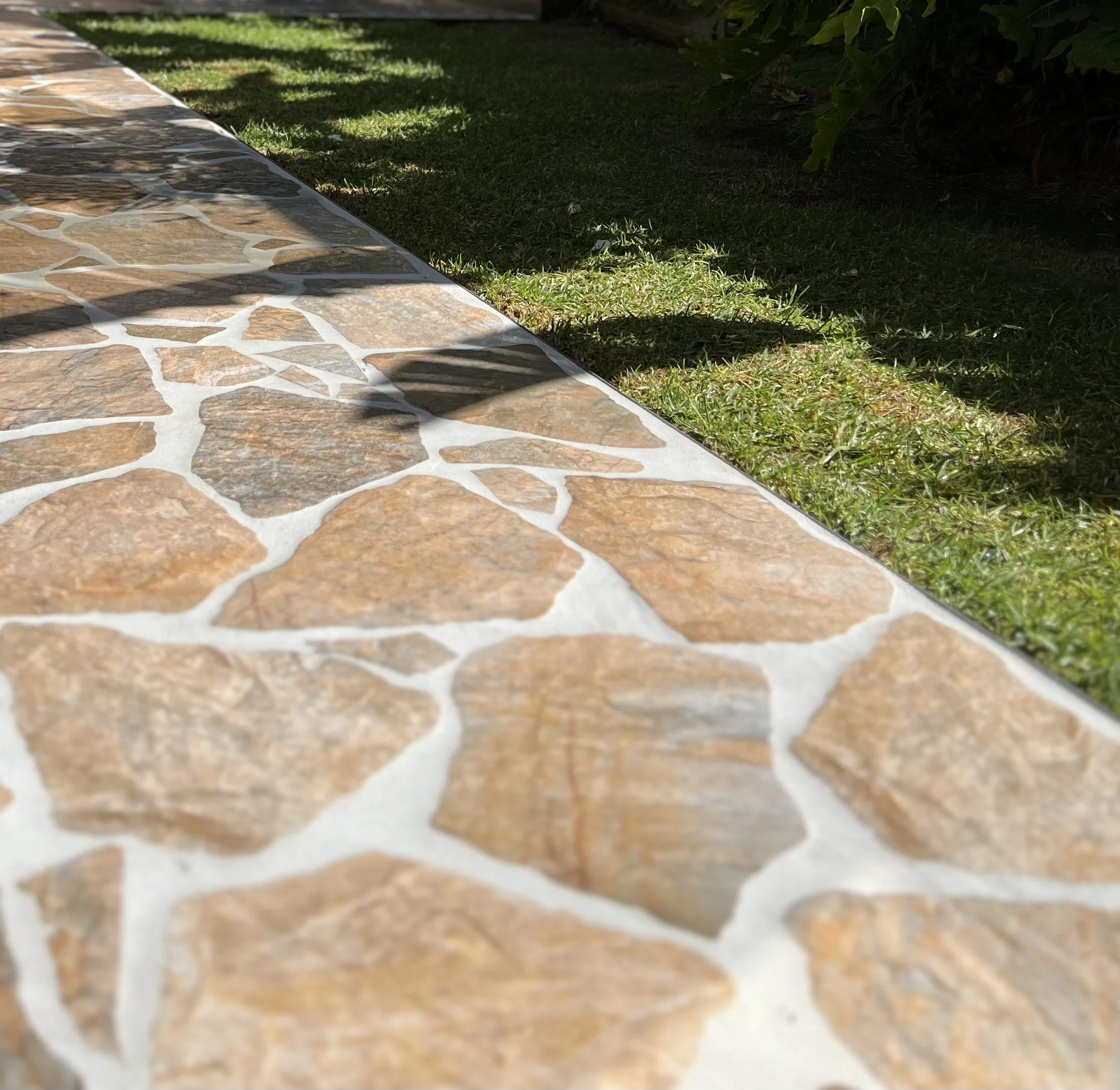 Close-up of a stone pathway bordered by grass and greenery.
