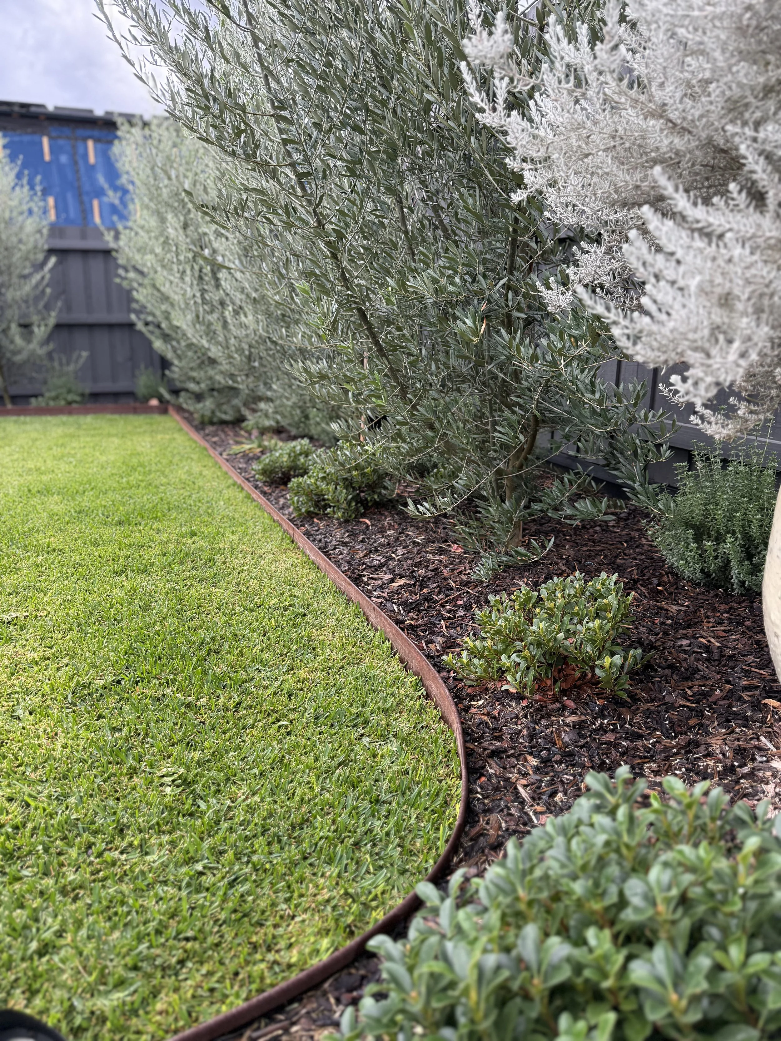 A landscaped garden with a lush green lawn, a flower bed edged with a metal border, various bushes, and a gray wooden fence in the background. Some trees and plants with white and green foliage are visible.