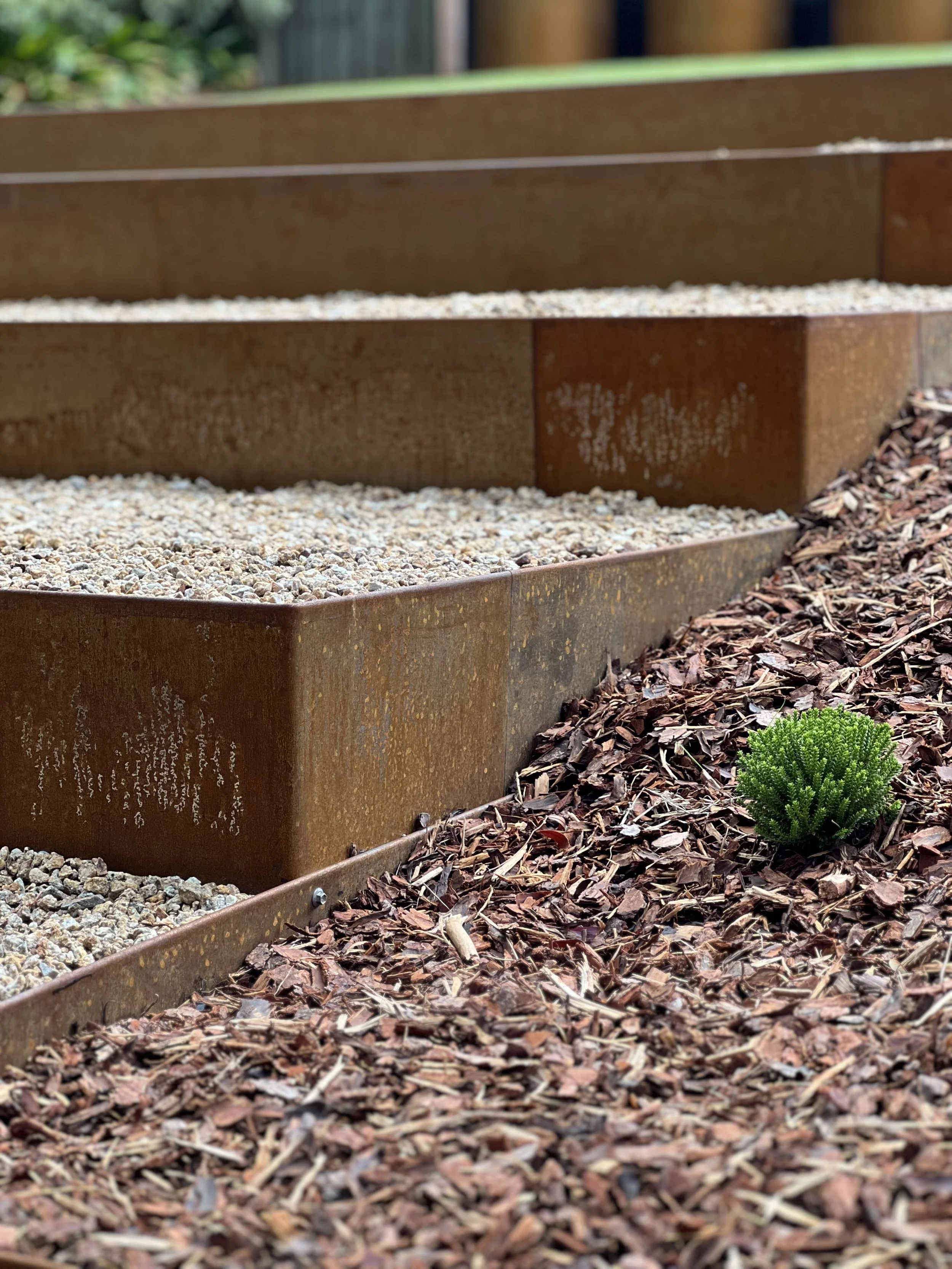 Close-up of brown metal garden edging with small rocks and mulch behind it, and small green shrub in the soil.