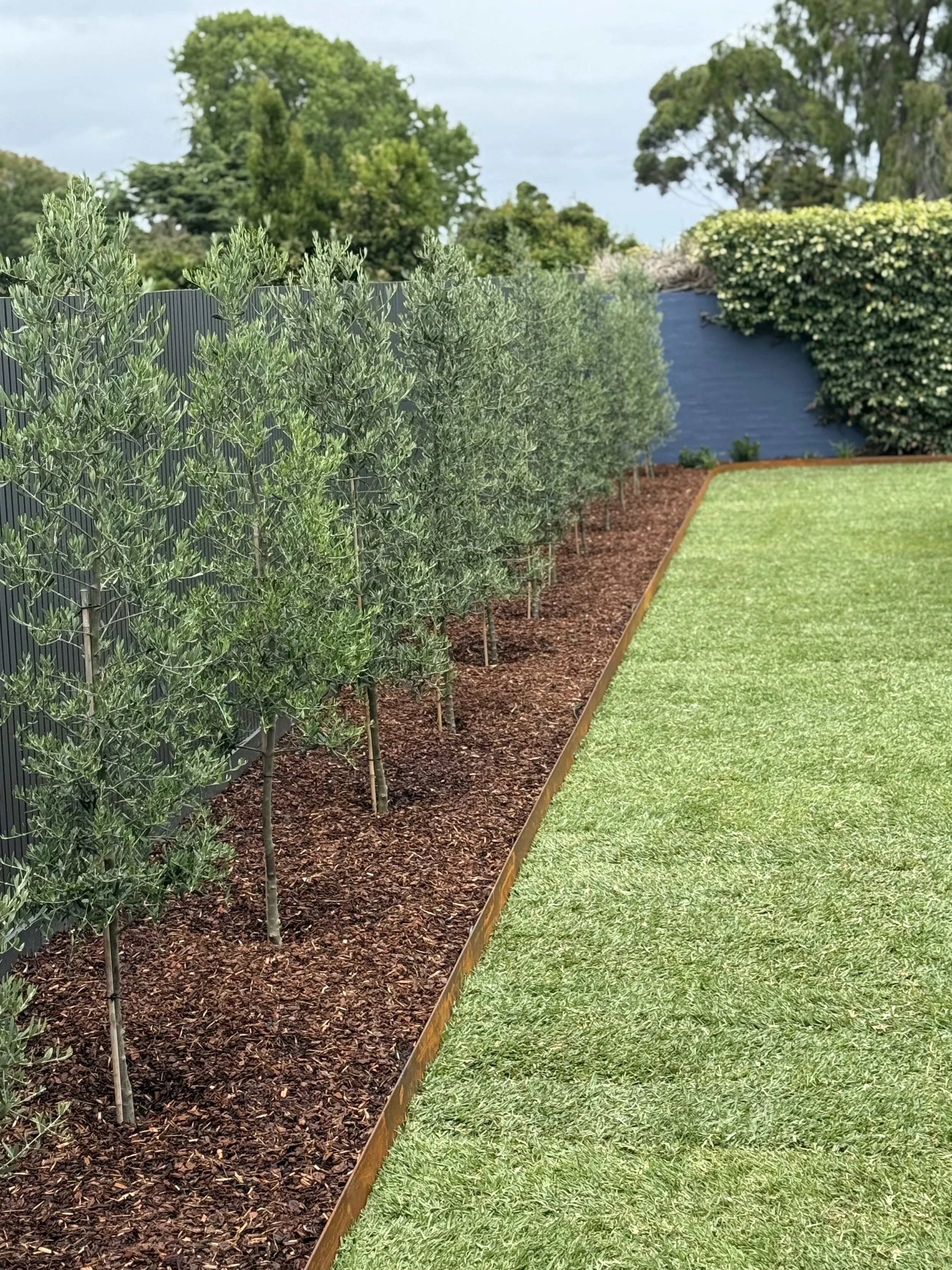 Well-maintained backyard garden with a green lawn, a black metal fence on the left, a row of small trees or shrubs, and large trees in the background under a partly cloudy sky.