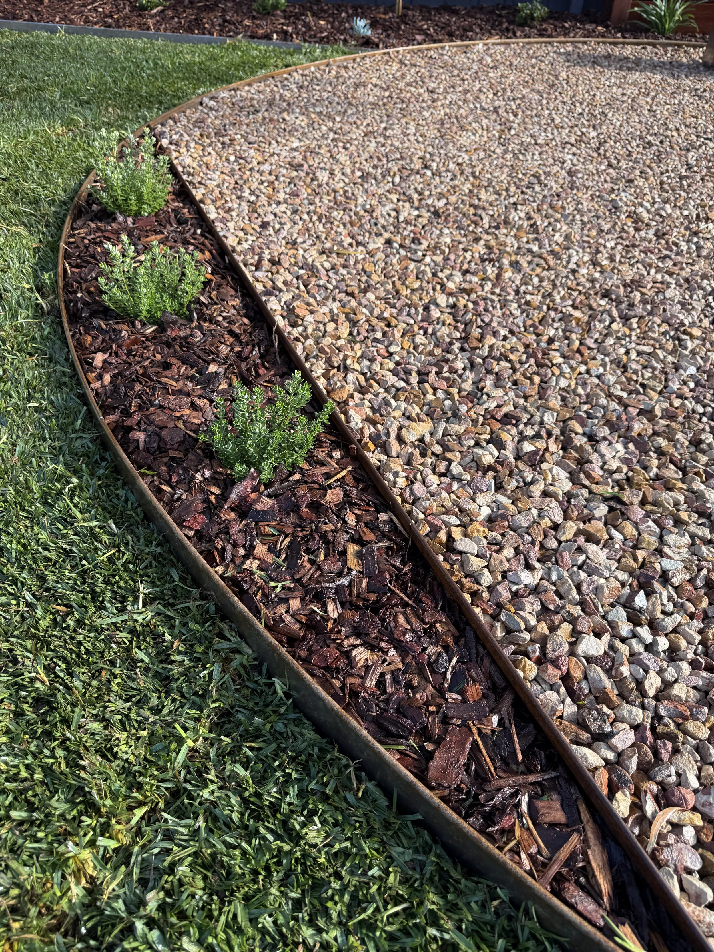 Decorative garden border with green grass on the left, a curved metal border, a section of reddish-brown mulch with small green plants, and a gravel section on the right under bright sunlight