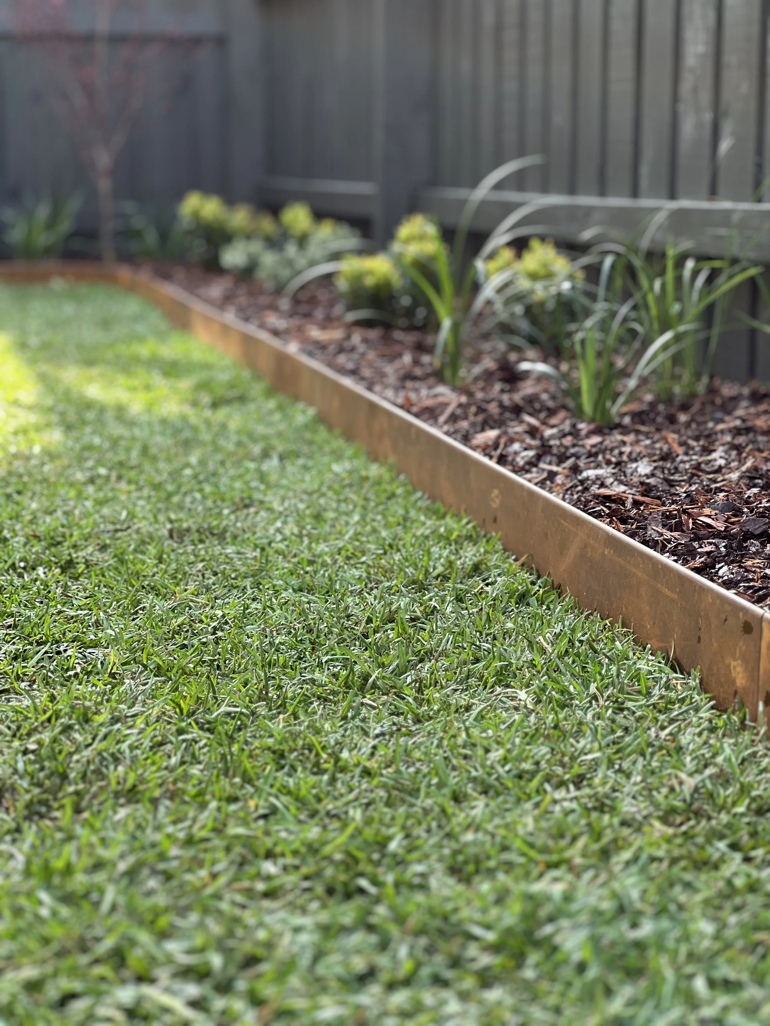 A backyard garden bed with green plants and mulch, bordered by a wooden edge, with a black fence in the background and a grass lawn in the foreground.