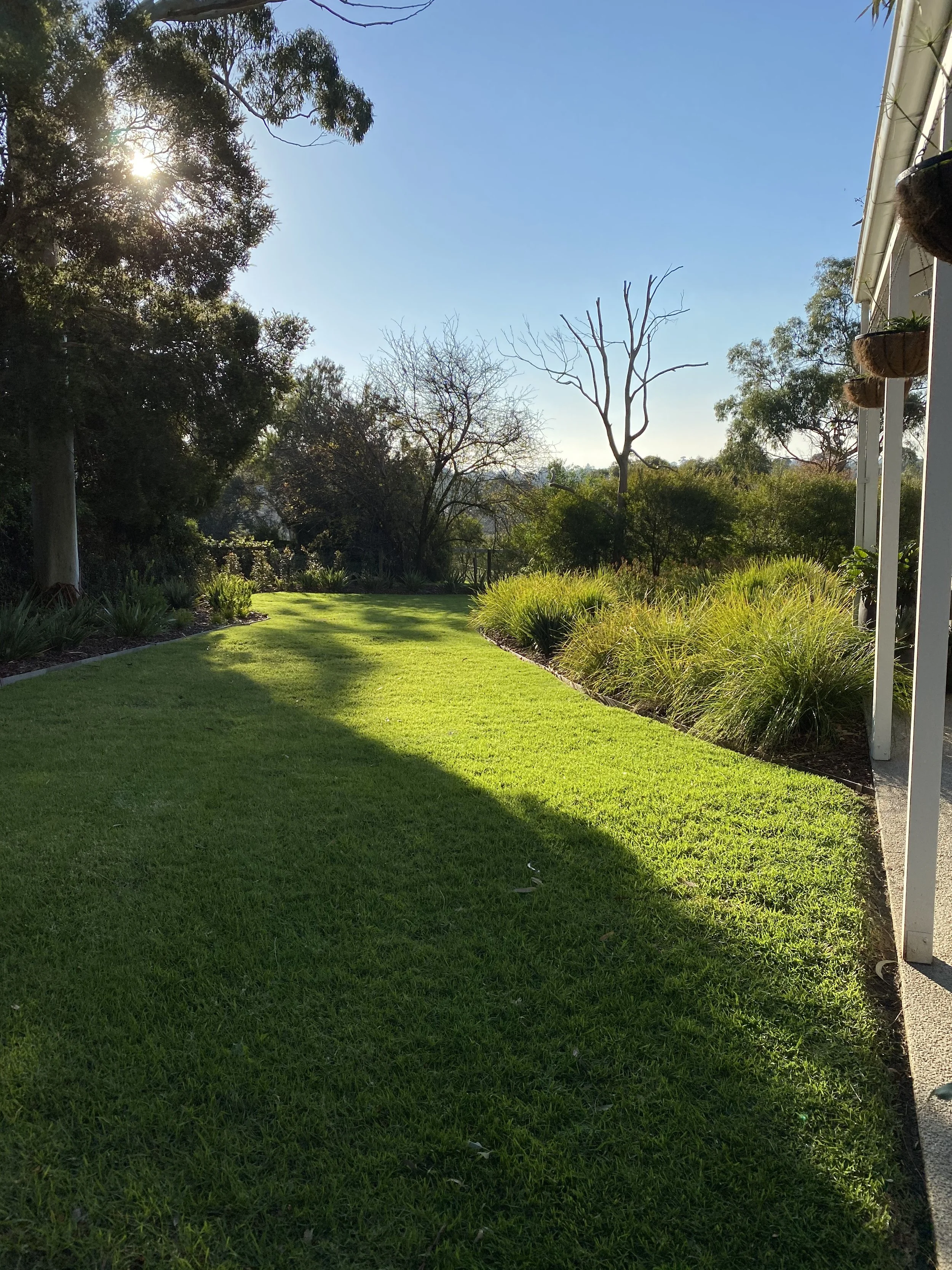 A backyard with well-maintained green grass, various plants and trees, some without leaves, and a house with hanging flower pots on the right side. The sky is clear and blue with bright sunlight.