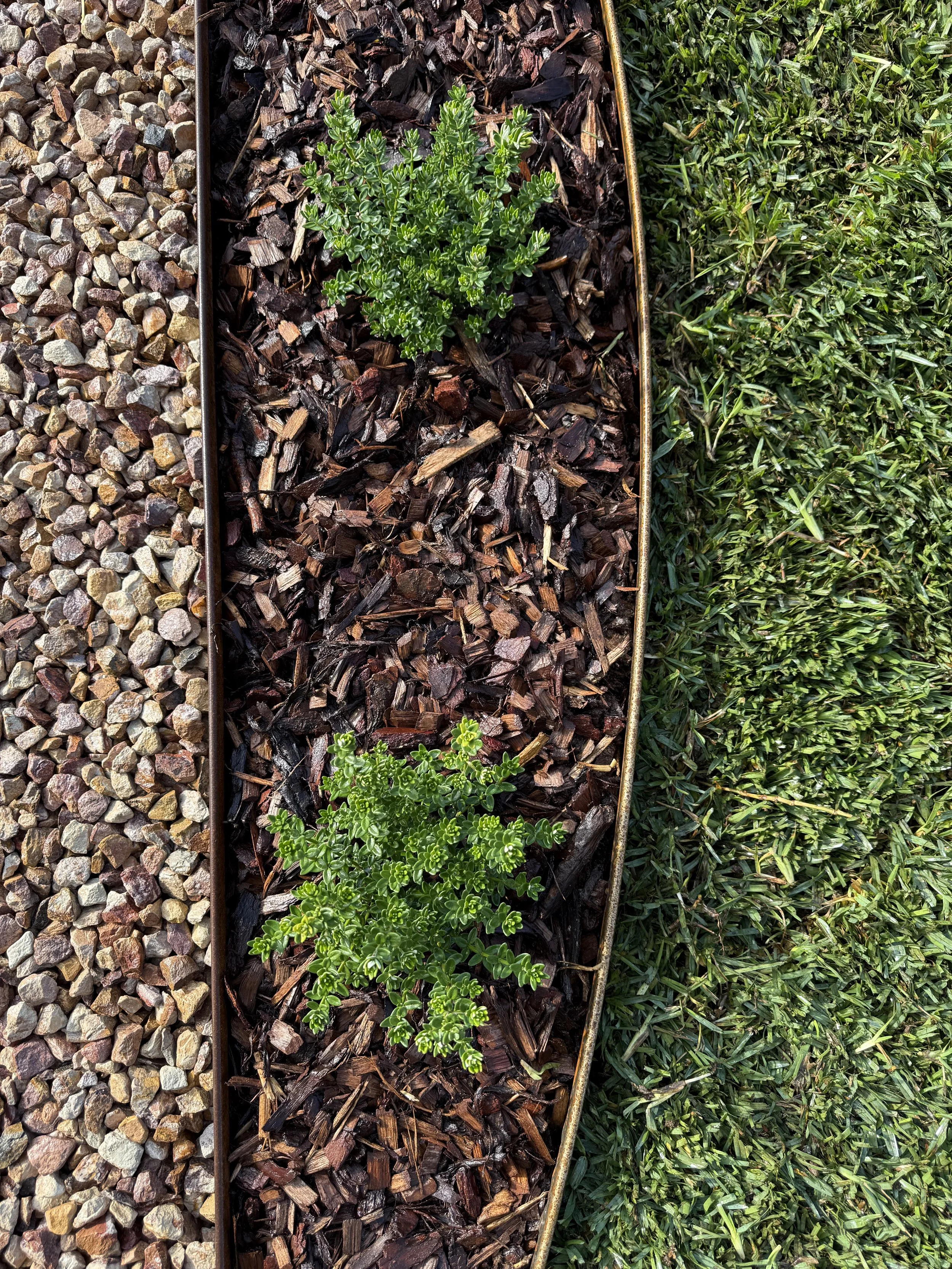 A row of garden landscape materials, including colorful gravel on the left, a planter with mulch and a small succulent plant in the middle, and freshly cut grass on the right.