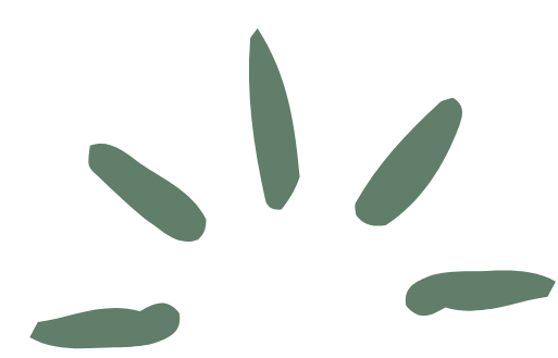 Simplified illustration of a plant or flower with six leaves or petals arranged in a semi-circular pattern.