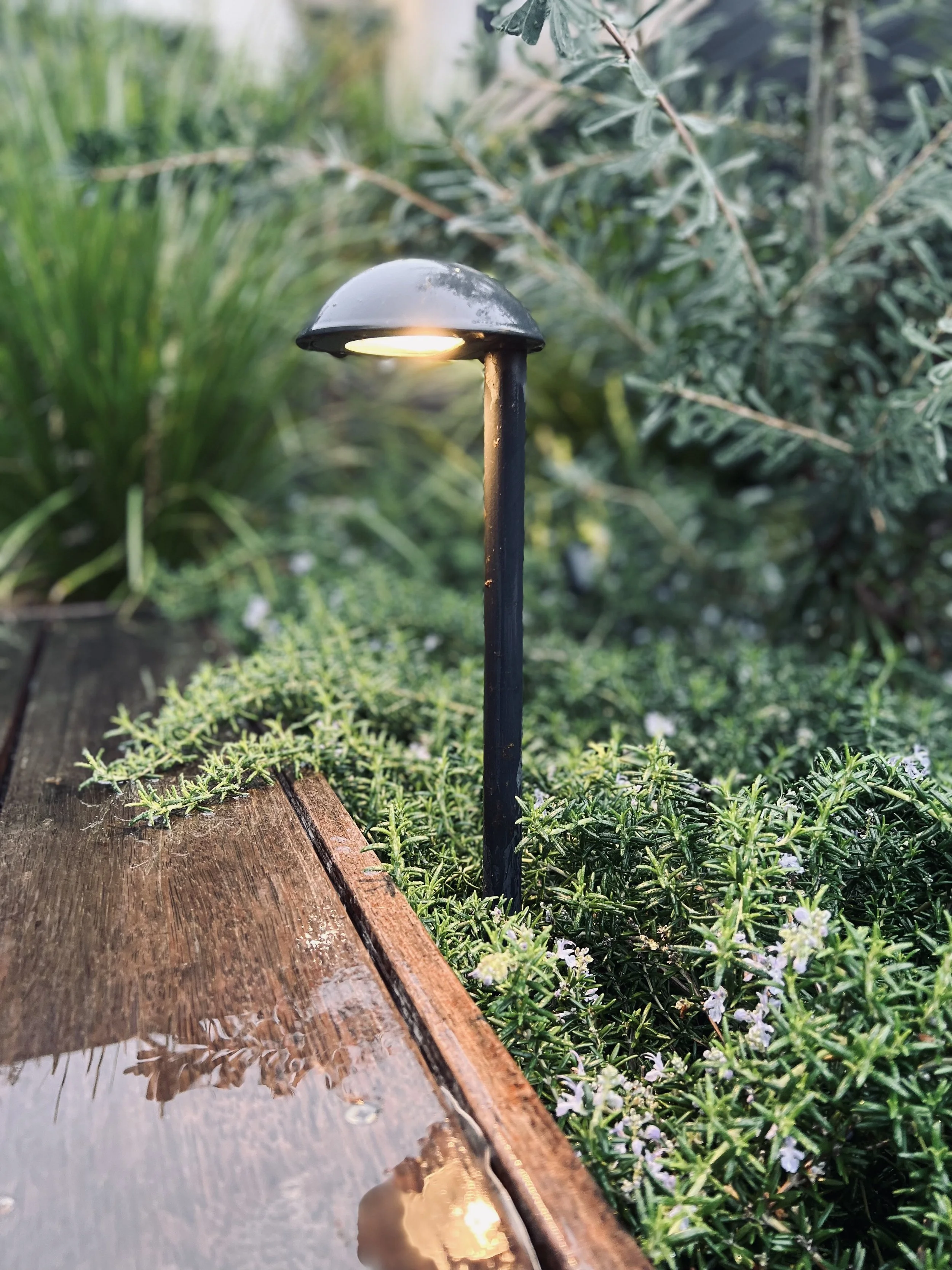 Outdoor garden scene with a modern pathway light on a metal pole illuminating surrounding plants.