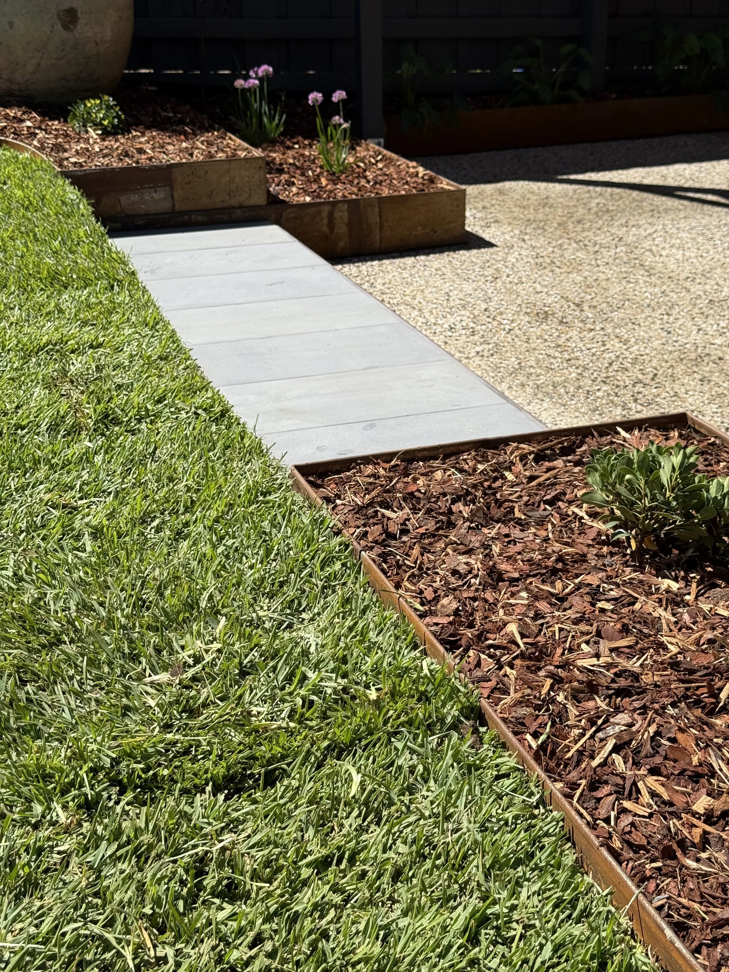 Close-up of garden border with green grass, concrete path, and mulched flower beds with purple flowers and green plants, in sunlight.
