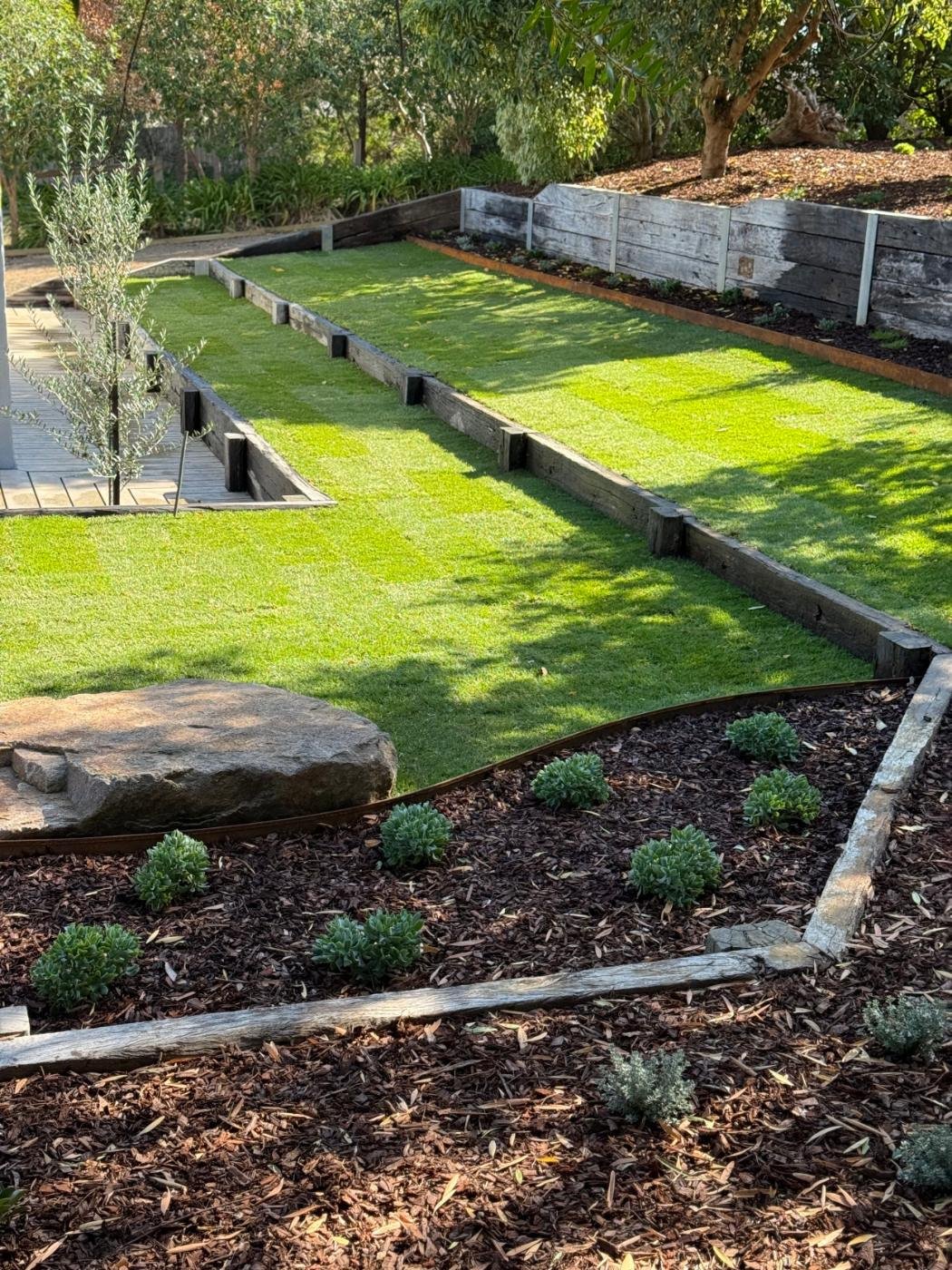 Raised garden beds with grass in the yard, surrounded by trees, bushes, and mulch.