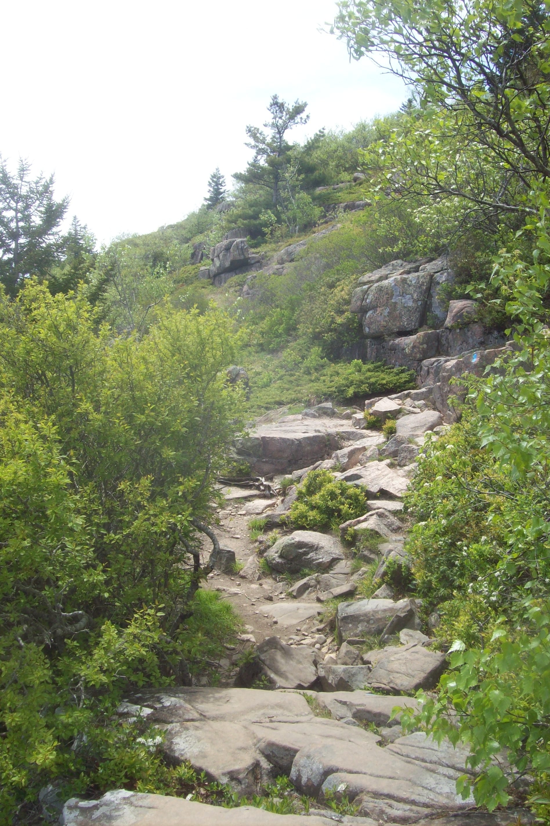 100_0032.JPG