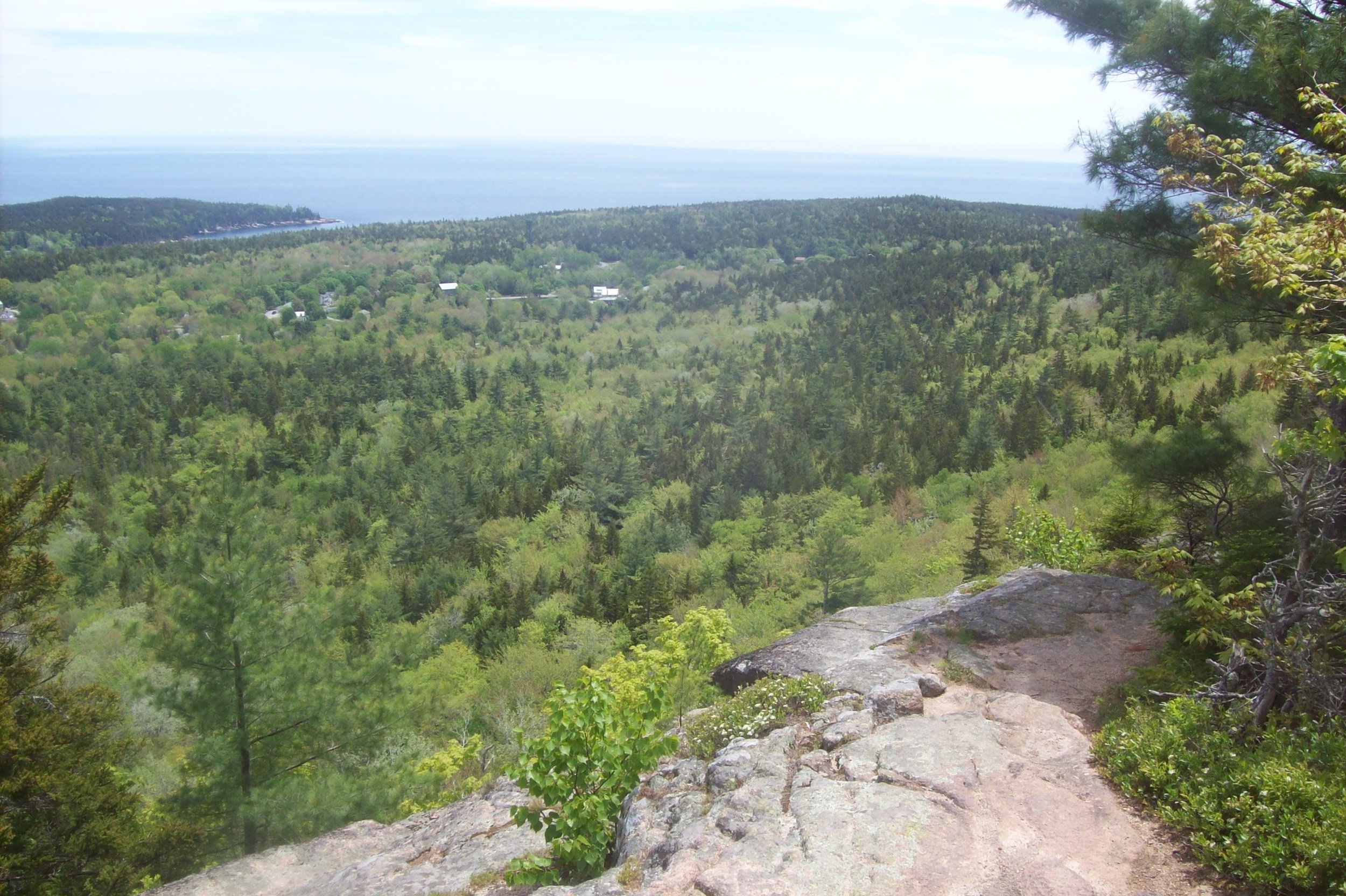 100_0009.JPG