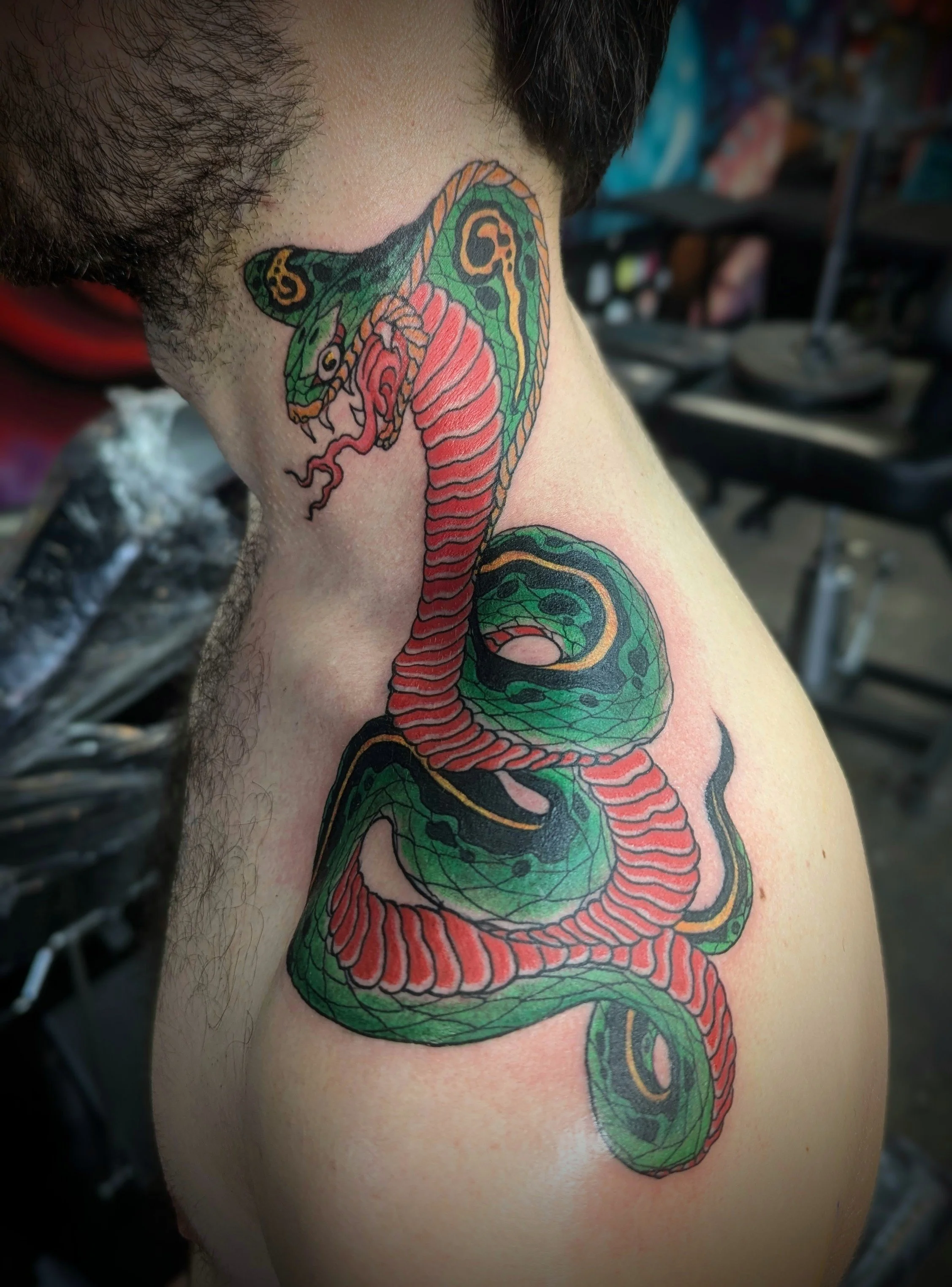 Colorful tattoo of a coiled snake on a person's shoulder and upper arm.