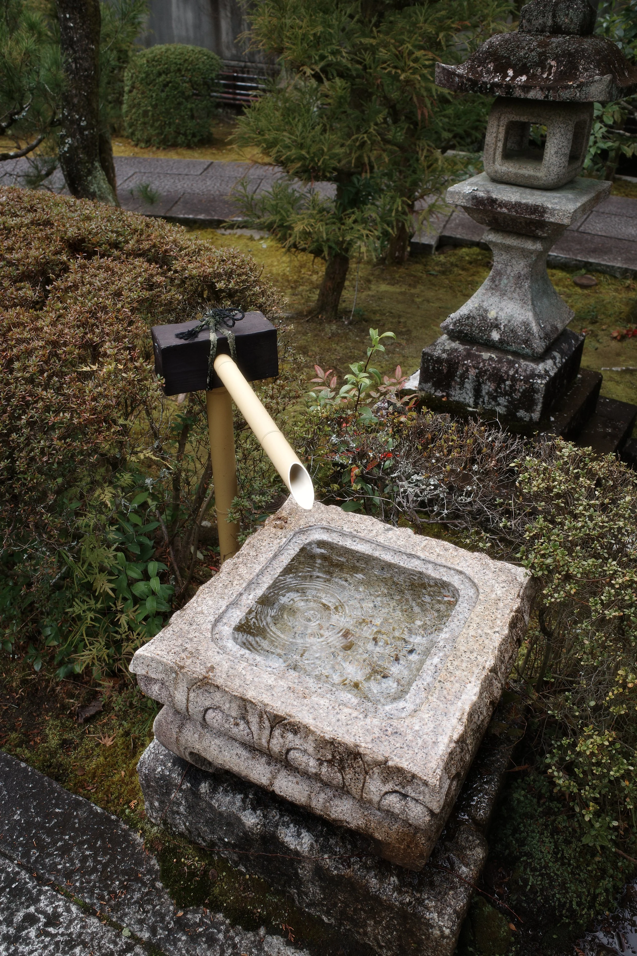 February 2025, Kyoto Japan
