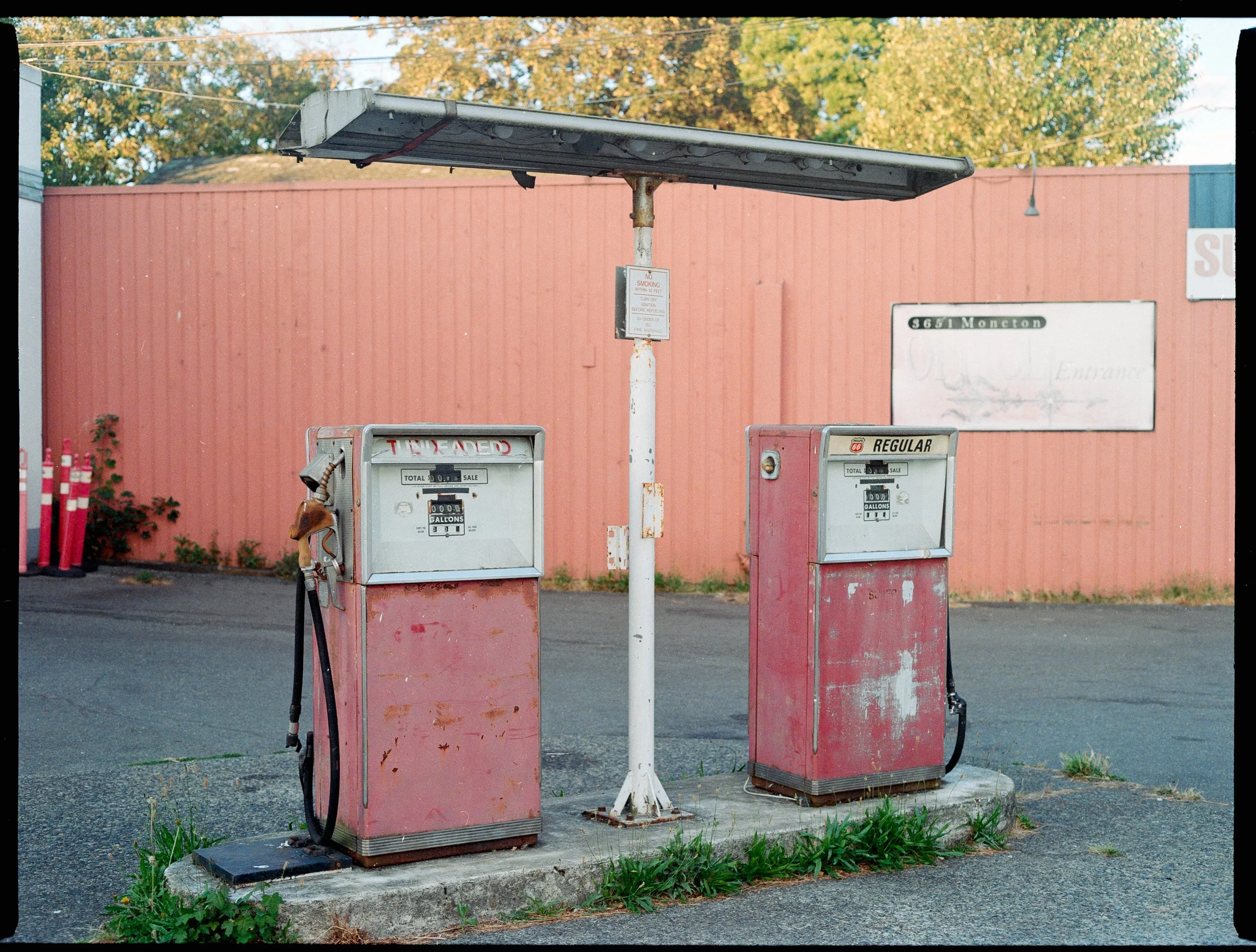 July 2026, Kodak Gold 200 - Bronica ETRSi