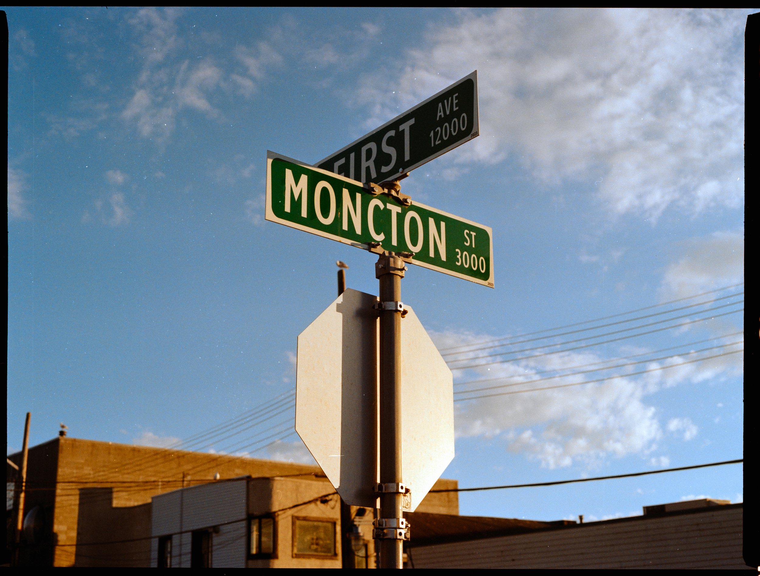 July 2026, Kodak Gold 200 - Bronica ETRSi