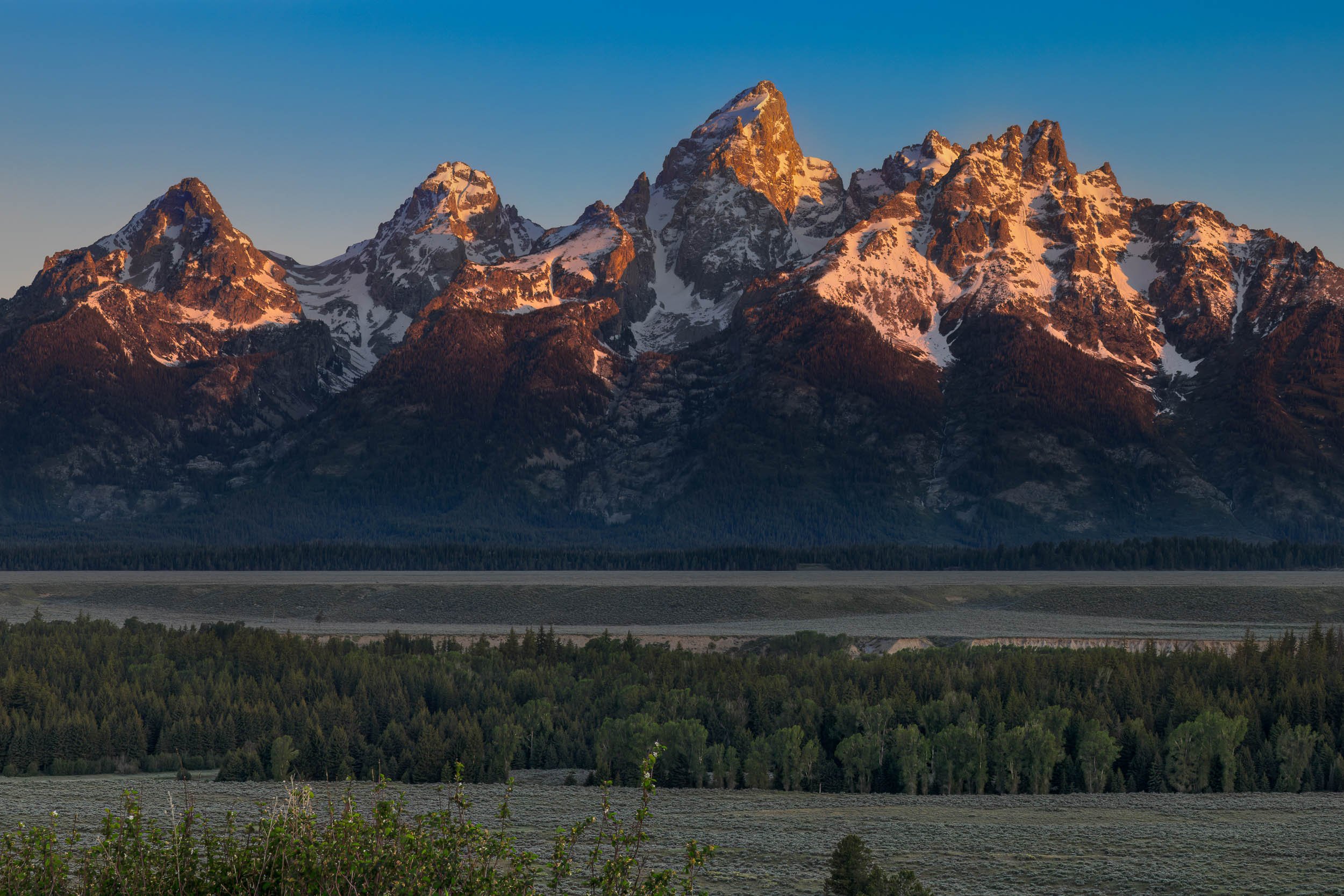 Wake Up Wyoming