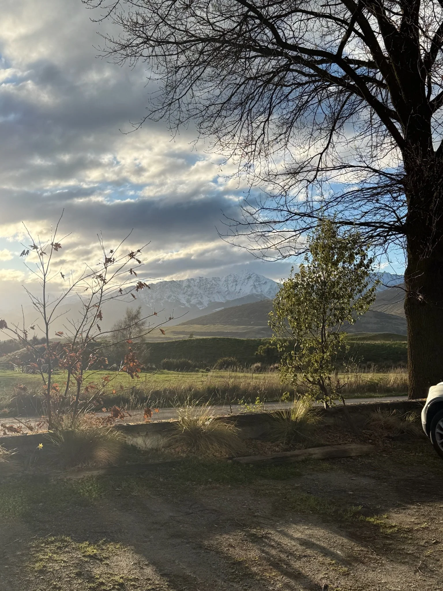 IMG_4274.jpeg