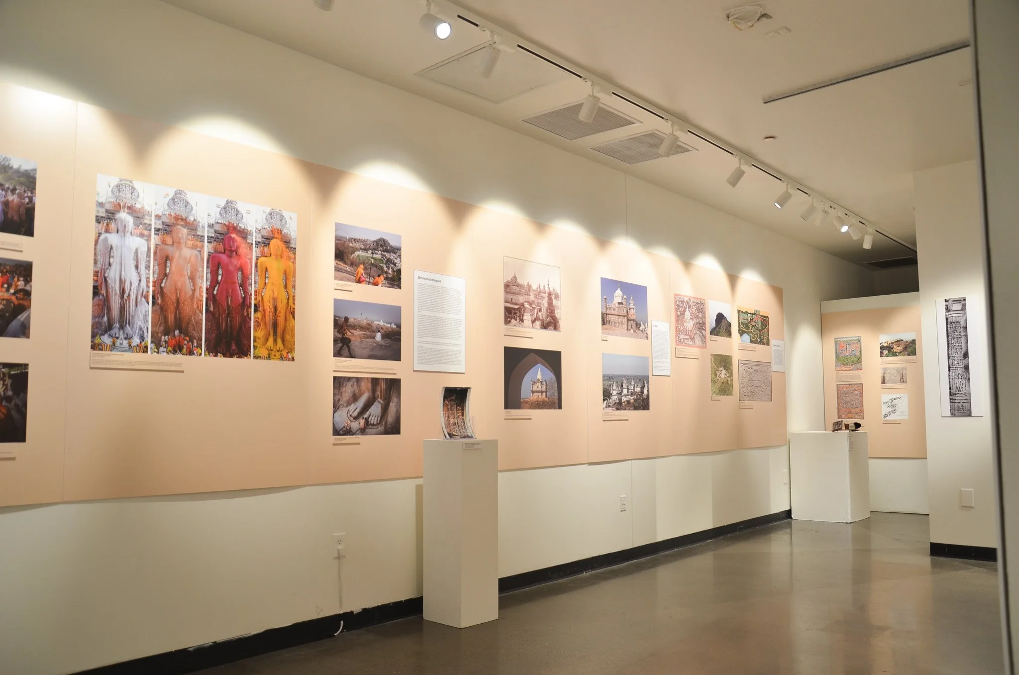 An art gallery display with various photographs and information panels on the walls, under bright ceiling track lighting.