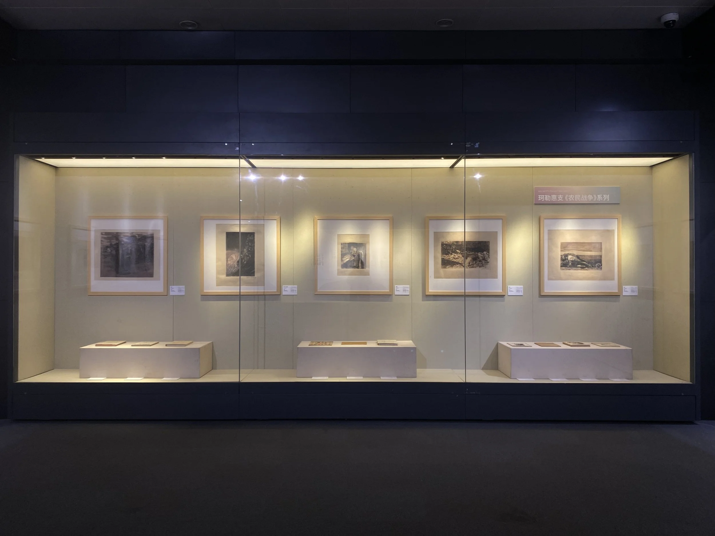 Museum exhibit showcasing framed artwork and books, enclosed in a glass display case with lighting, inside a gallery space.