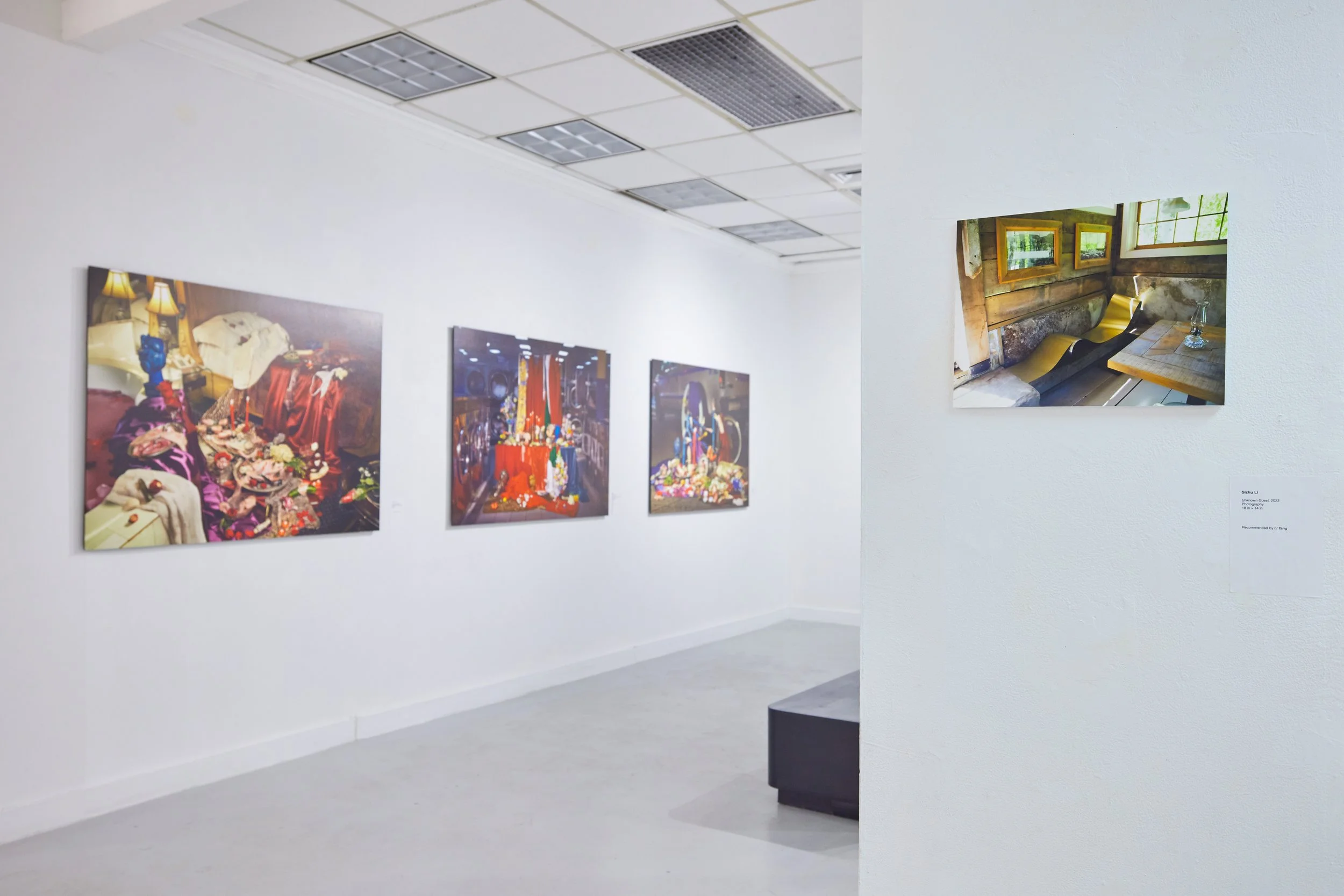Gallery wall displaying colorful paintings in an art exhibit room with white walls and ceiling lights.