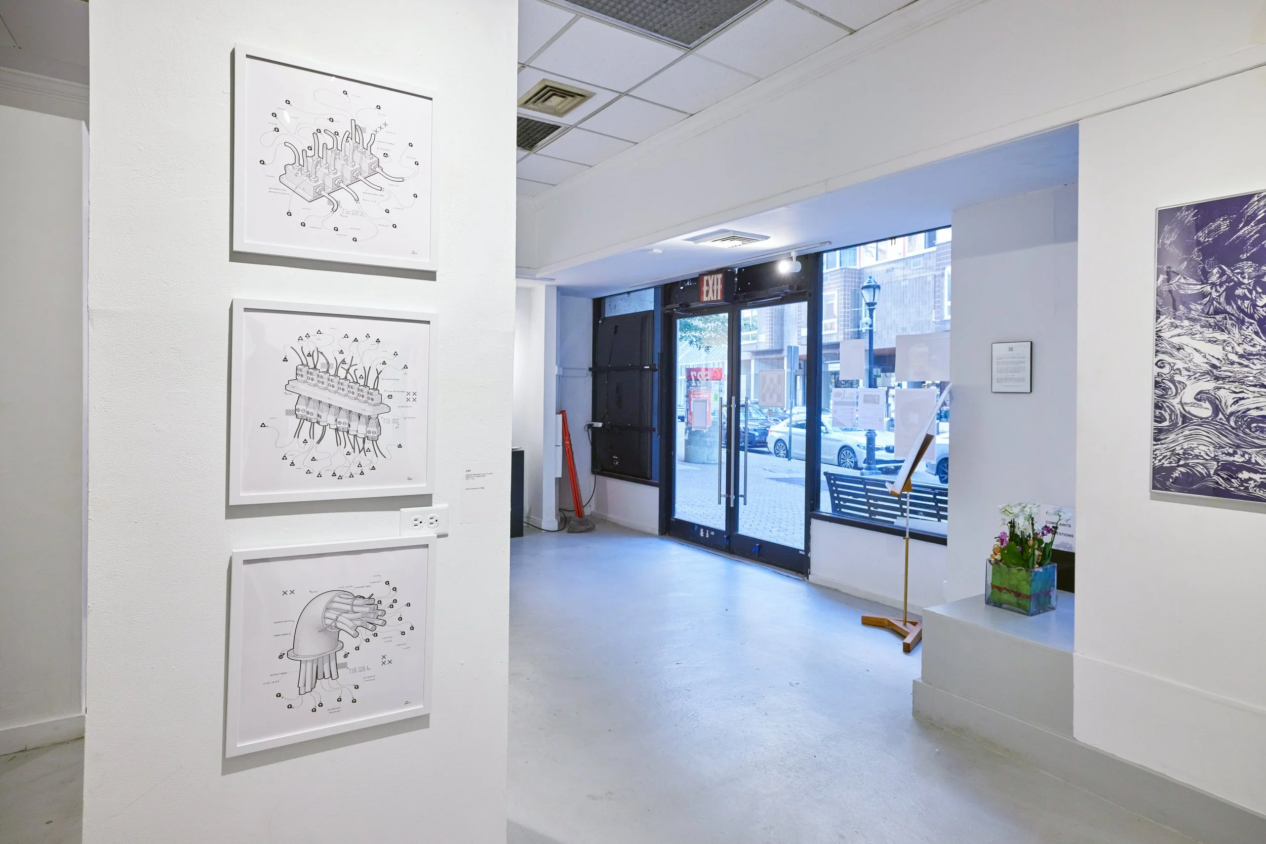 Gallery interior with scientific diagrams on white walls, near glass doors leading outside, with a potted plant and artwork.